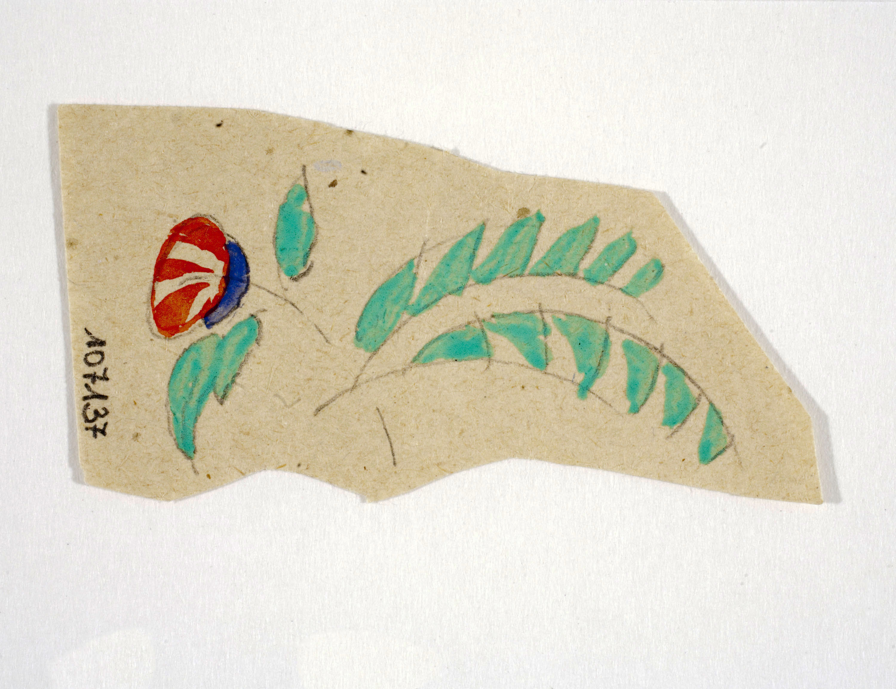 image for: Xavier Nogués - Flor. Estudi preparatori per a la decoració de vidre esmaltat - Cap a 1924-1928