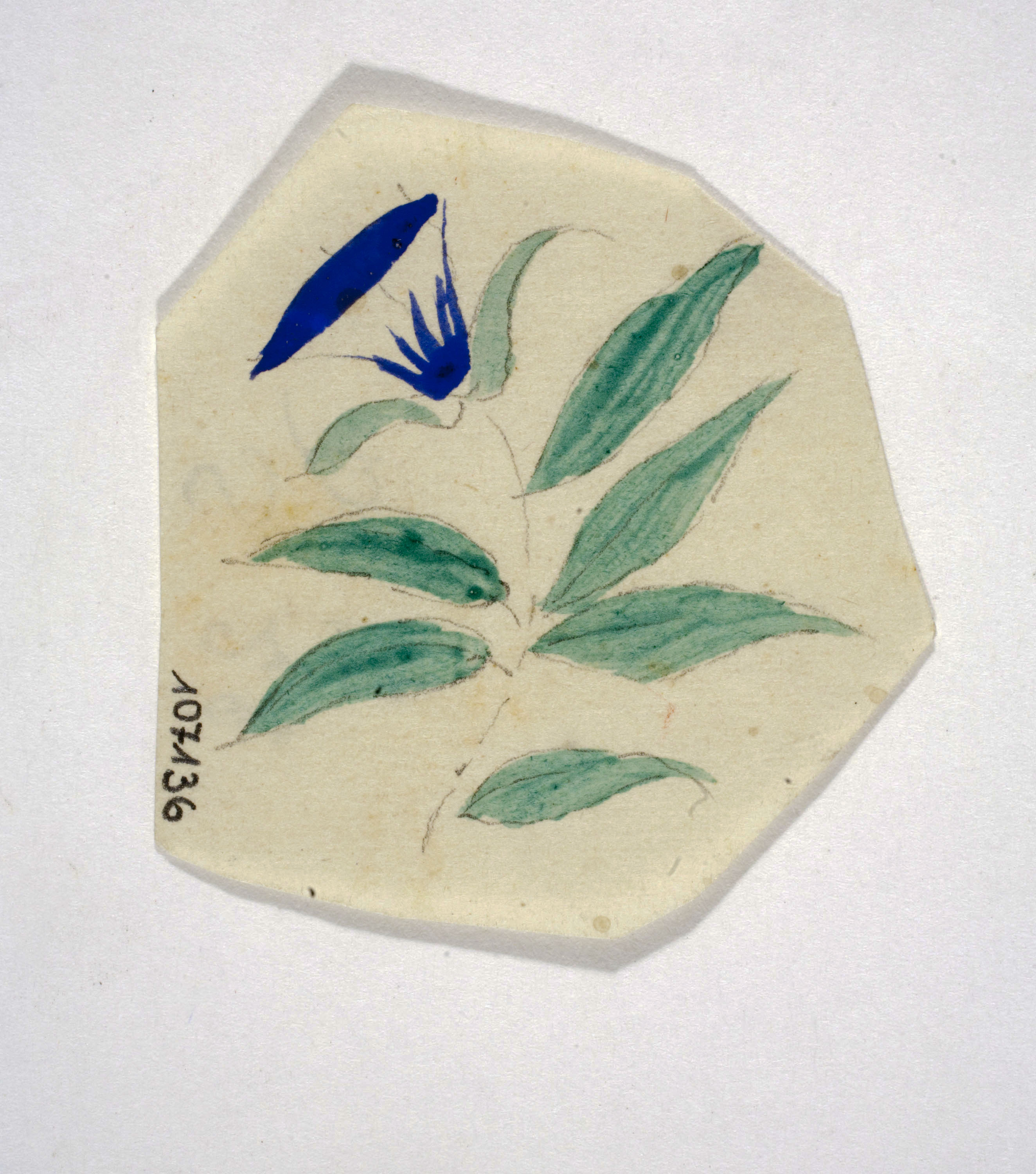 image for: Xavier Nogués - Flor. Estudi preparatori per a la decoració de vidre esmaltat - Cap a 1924-1928