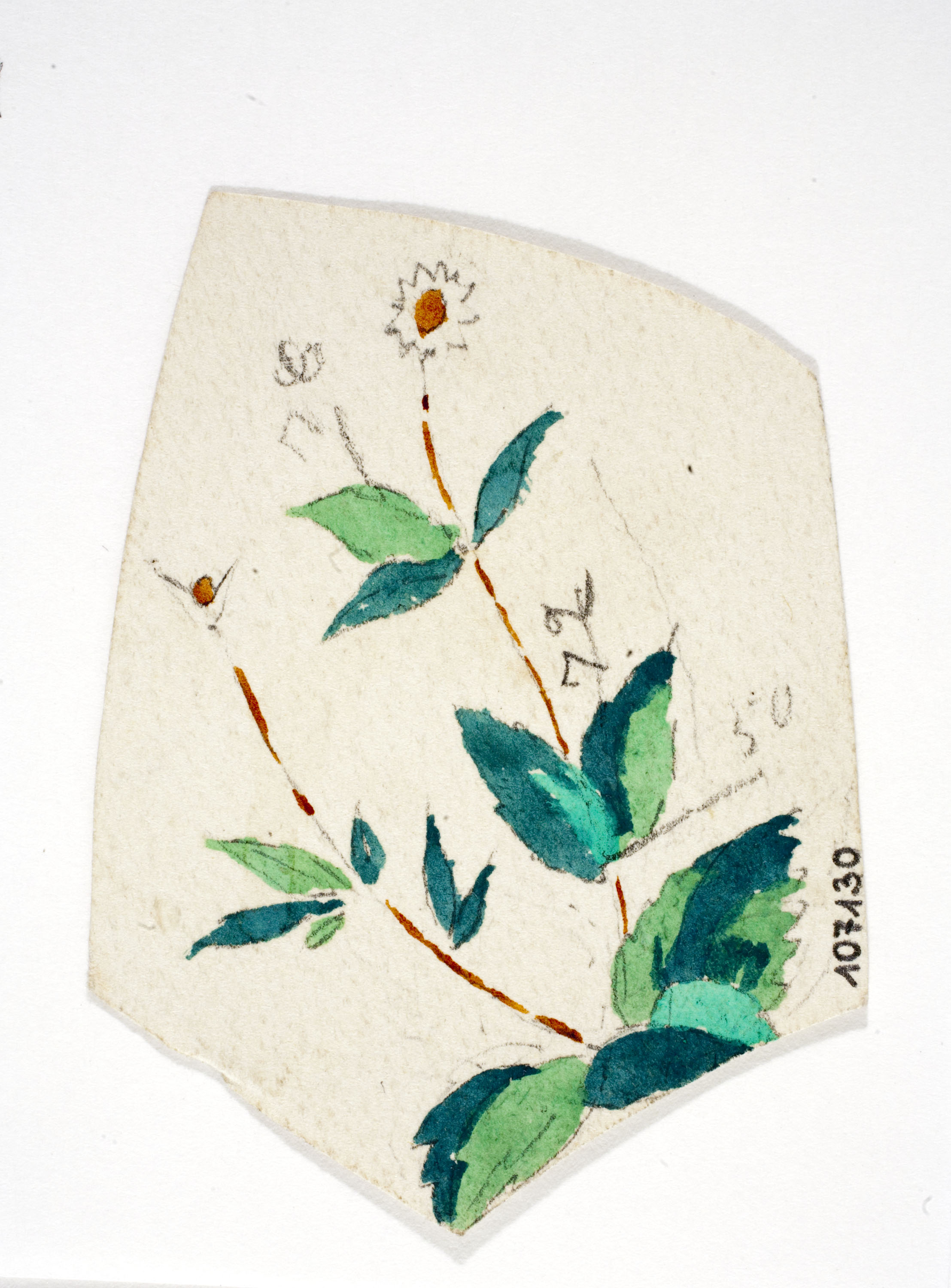 Xavier Nogués - Flors. Estudi preparatori per a la decoració de vidre esmaltat - Cap a 1924-1928 image for: Xavier Nogués - Flors. Estudi preparatori per a la decoració de vidre esmaltat - Cap a 1924-1928