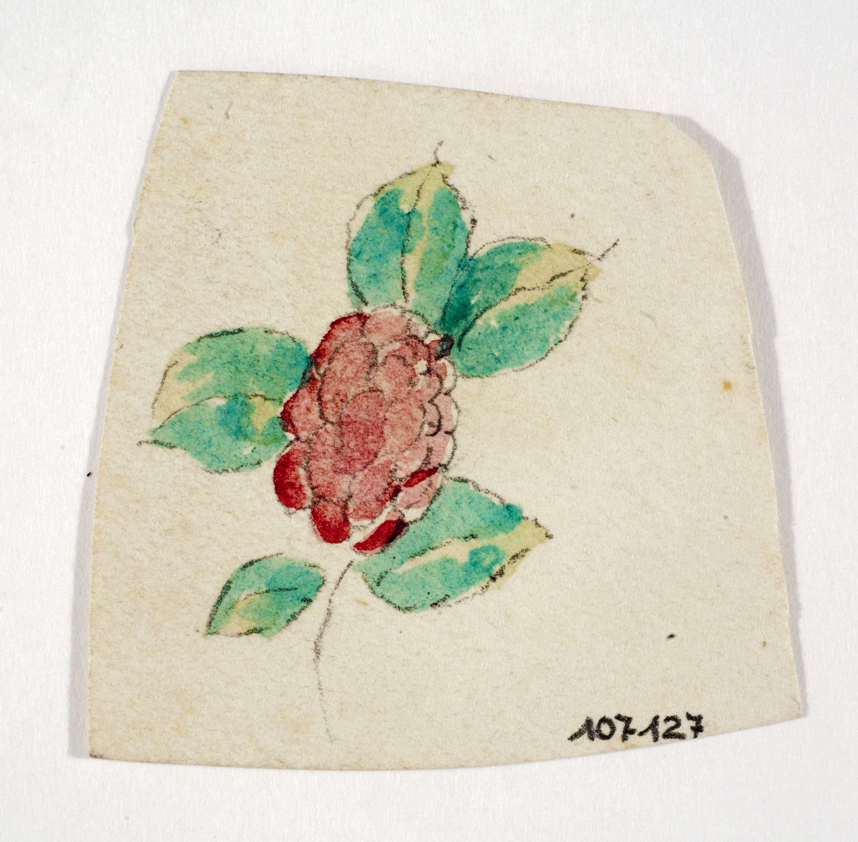 image for: Xavier Nogués - Flor. Estudi preparatori per a la decoració de vidre esmaltat - Cap a 1924-1928