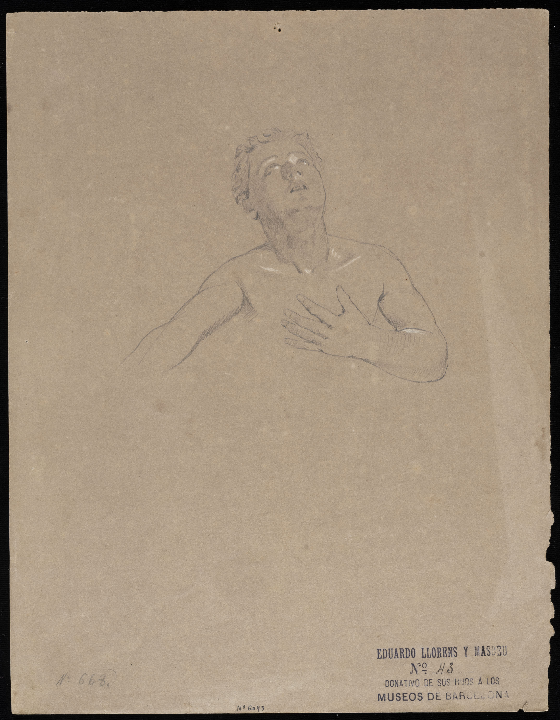 image for: Eduard Llorens - Estudi de bust de jove - Cap a 1854-1864