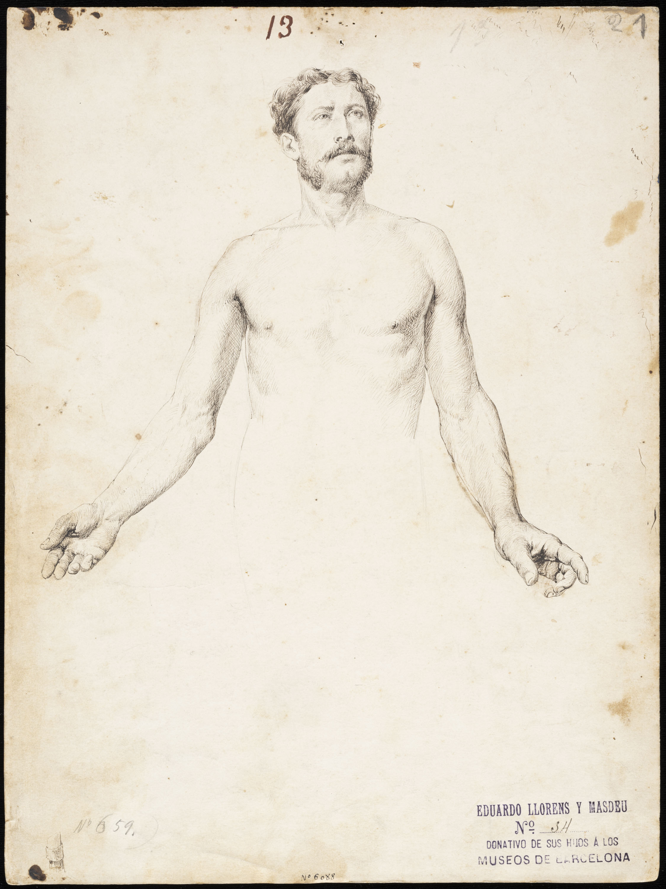 Eduard Llorens - Estudi tors masculí - Cap a 1854-1864 image for: Eduard Llorens - Estudi tors masculí - Cap a 1854-1864