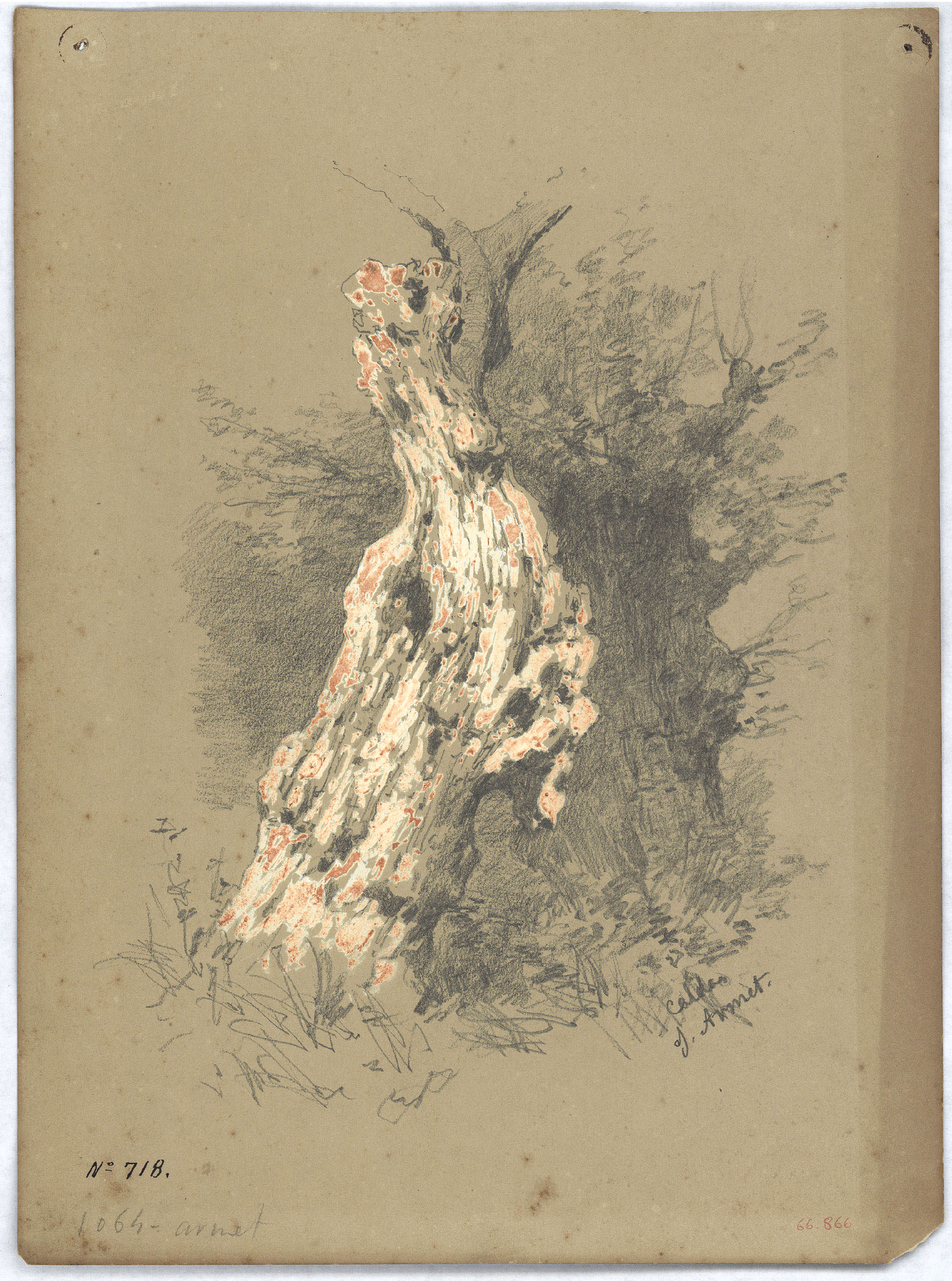 image for: Josep Armet - Estudi de troncs - Cap a 1870