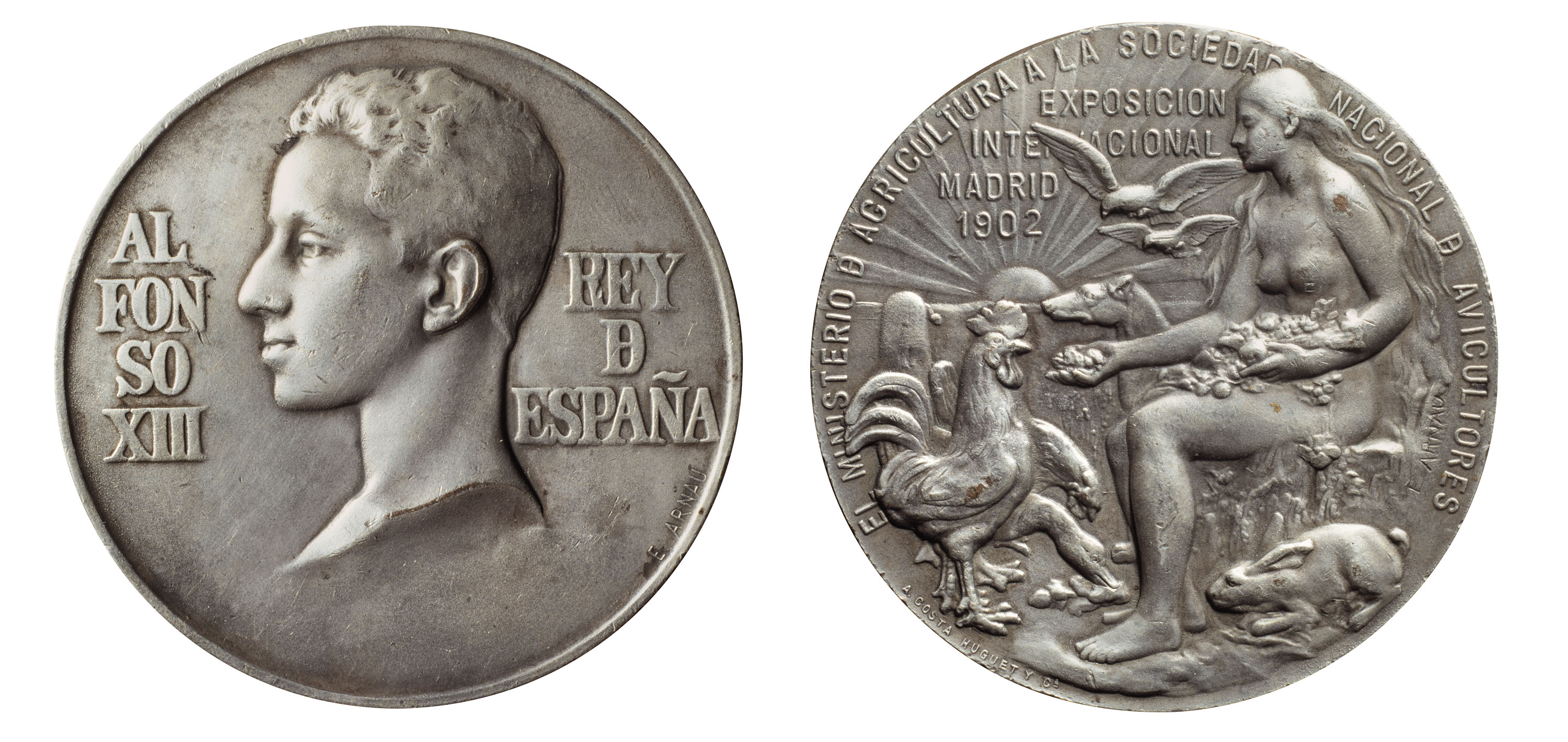 image for: Eusebi Arnau - V Exposició Internacional d'Avicultura i Colombofília de Madrid - 1902