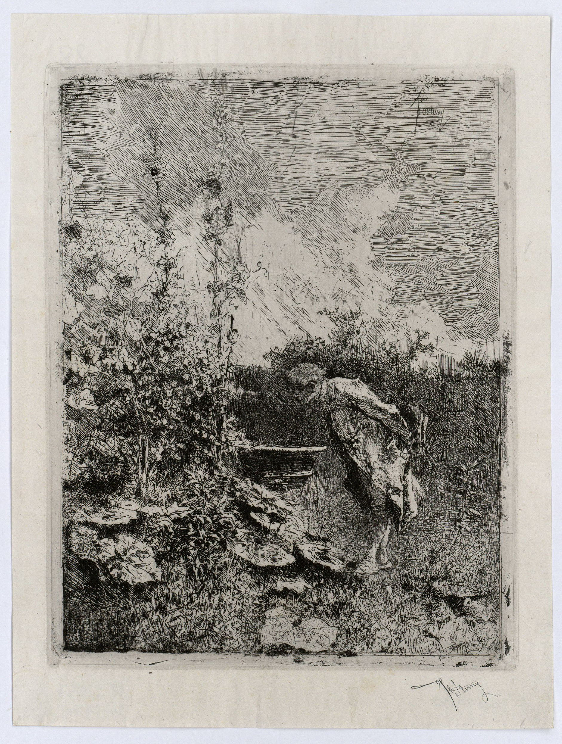 image for: Marià Fortuny - El botànic - Cap a 1868-1869