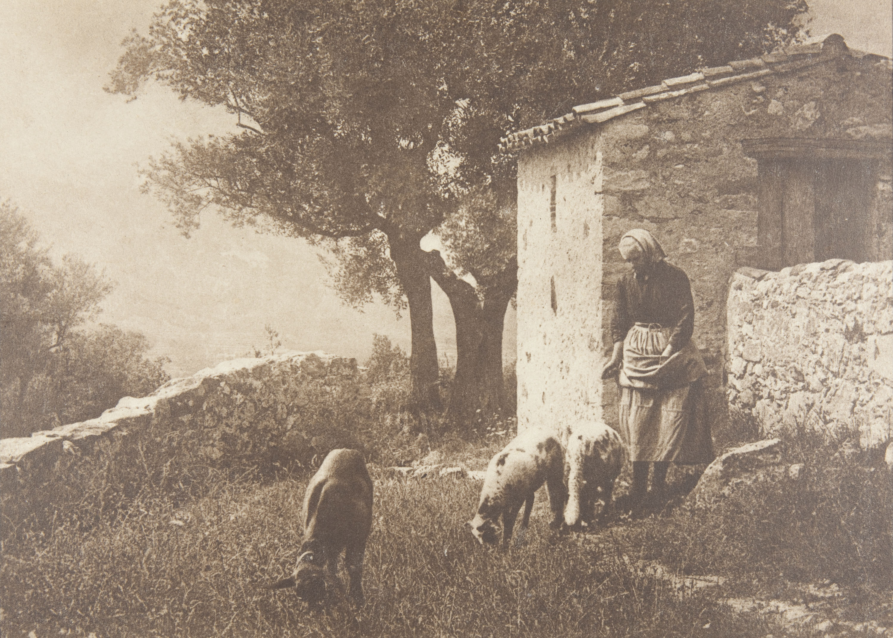image for: Claudi Carbonell - Escena campestre - No datat