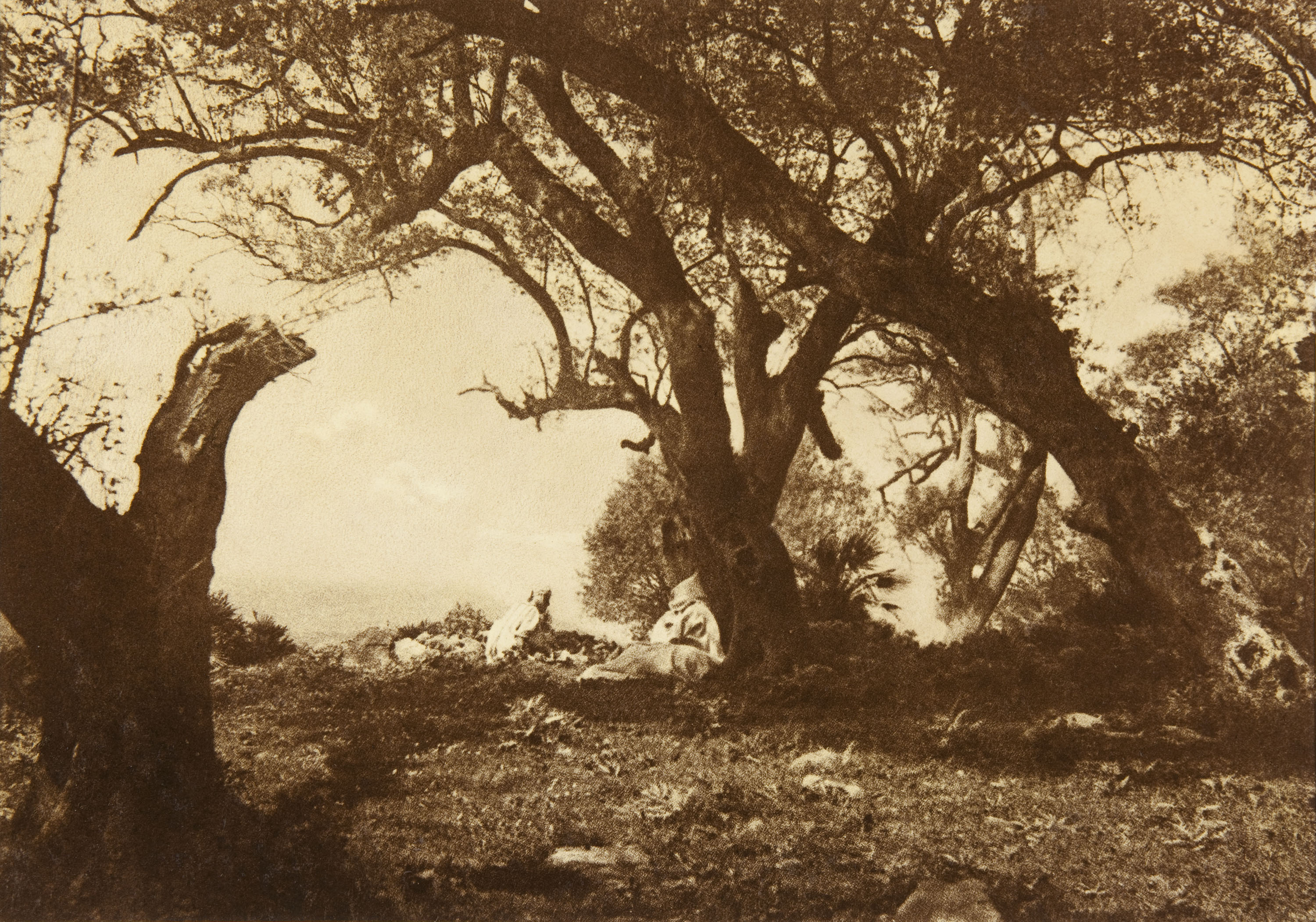 image for: Claudi Carbonell - Tossa de Mar - No datat