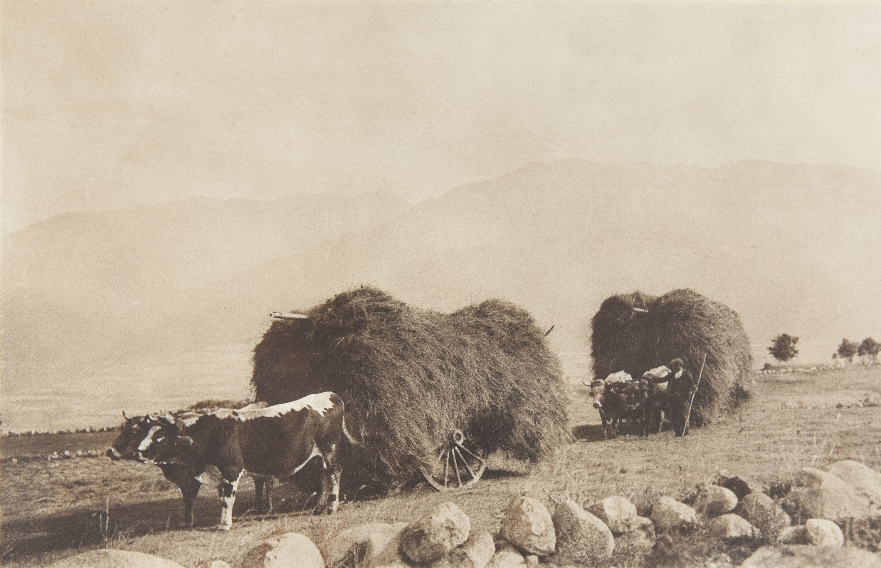 image for: Claudi Carbonell - Cosecha - 1927