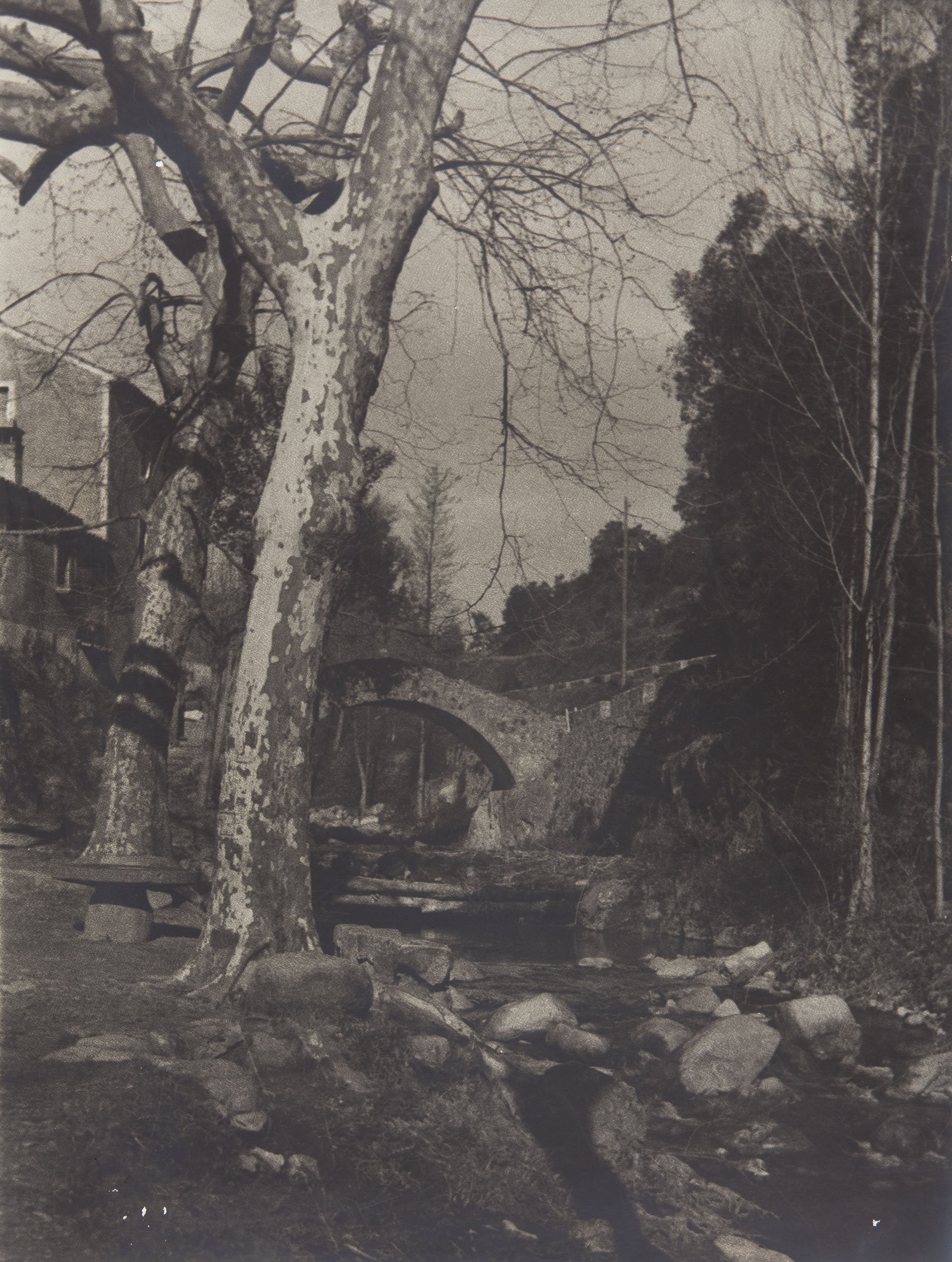 image for: Claudi Carbonell - Sense títol - No datat