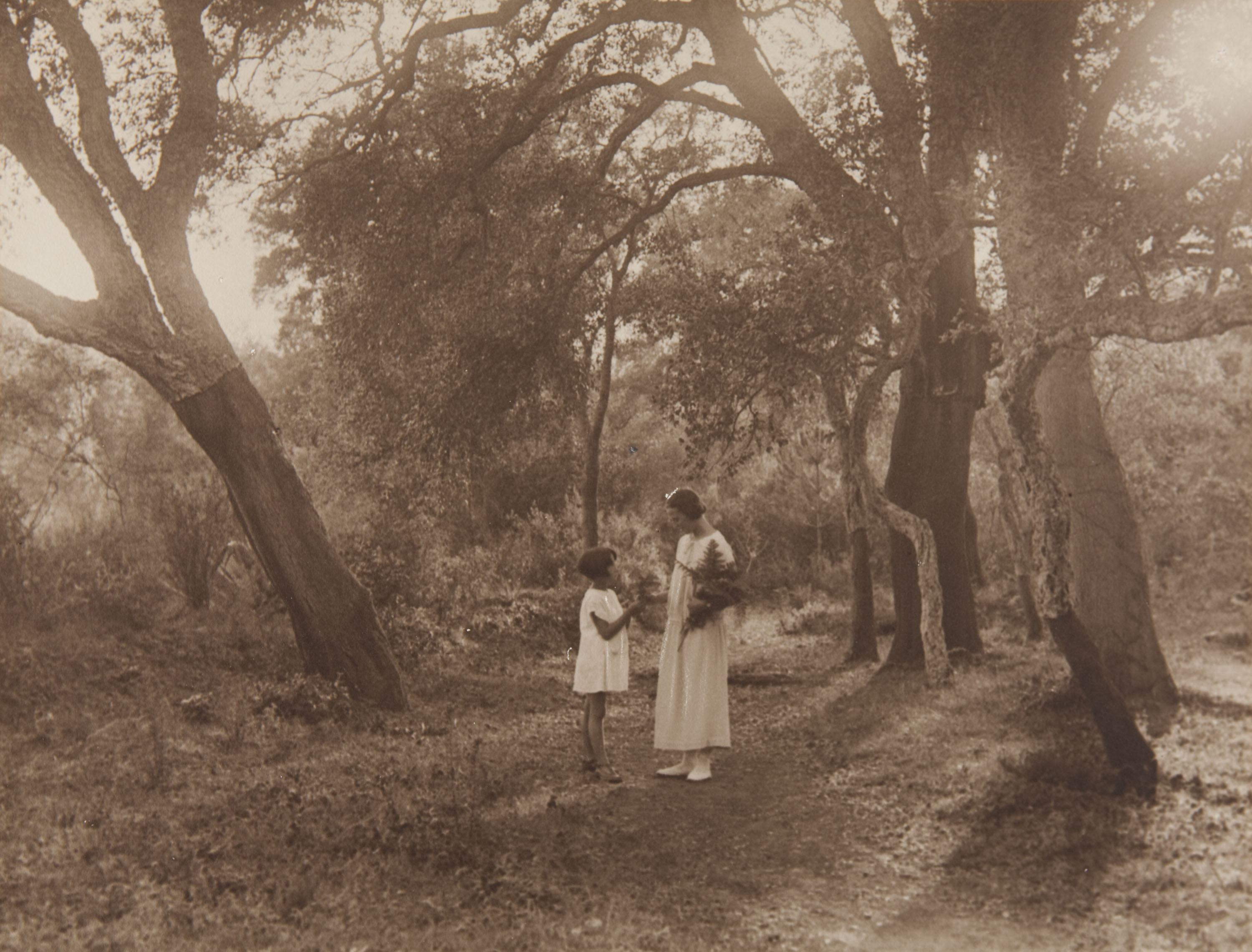 image for: Claudi Carbonell - Sense títol - No datat