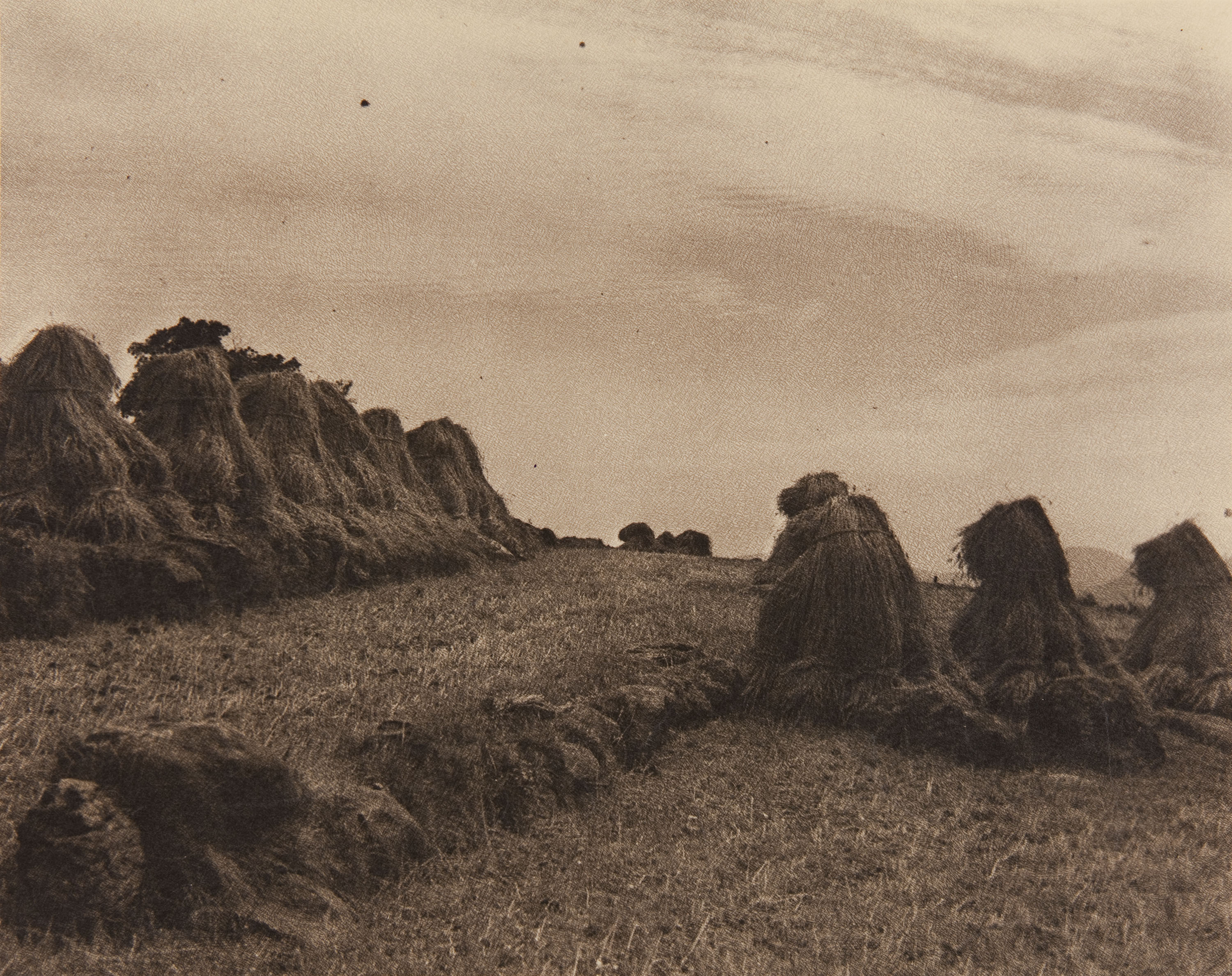 image for: Claudi Carbonell - Sense títol - No datat