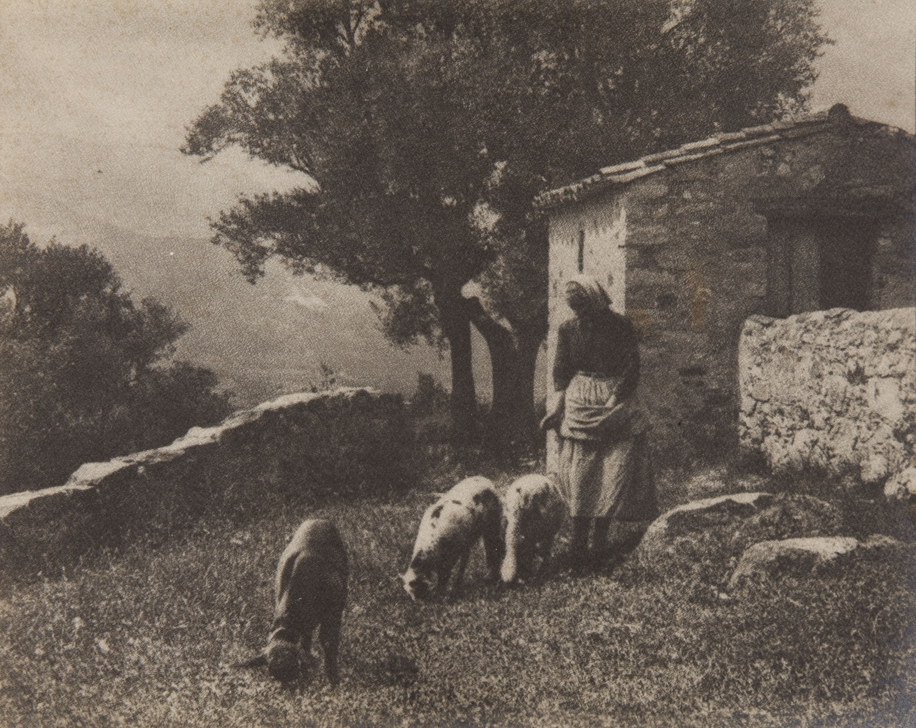 image for: Claudi Carbonell - Sense títol [Escena campestre] - No datat