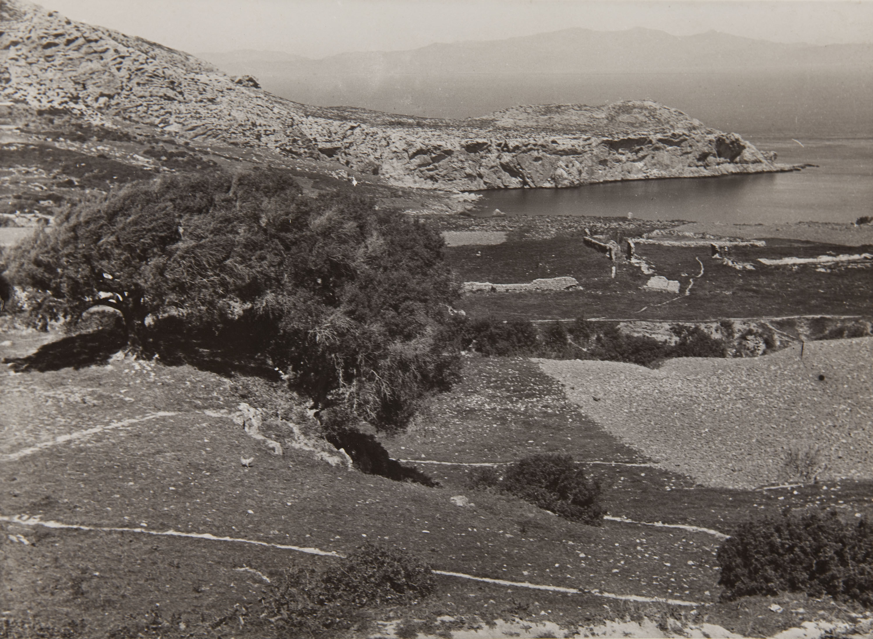 image for: Claudi Carbonell - Sense títol - No datat