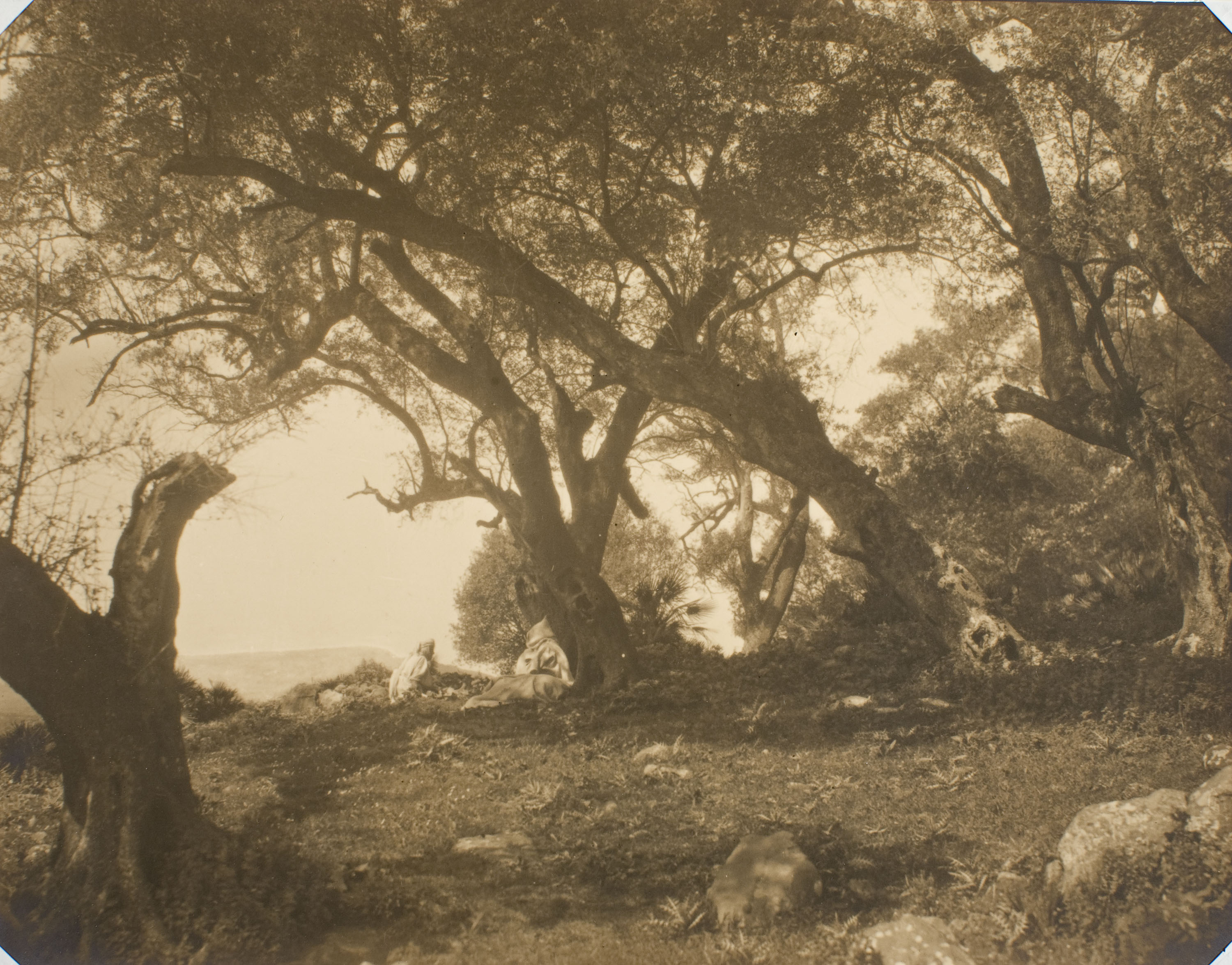 image for: Claudi Carbonell - Sense títol - No datat