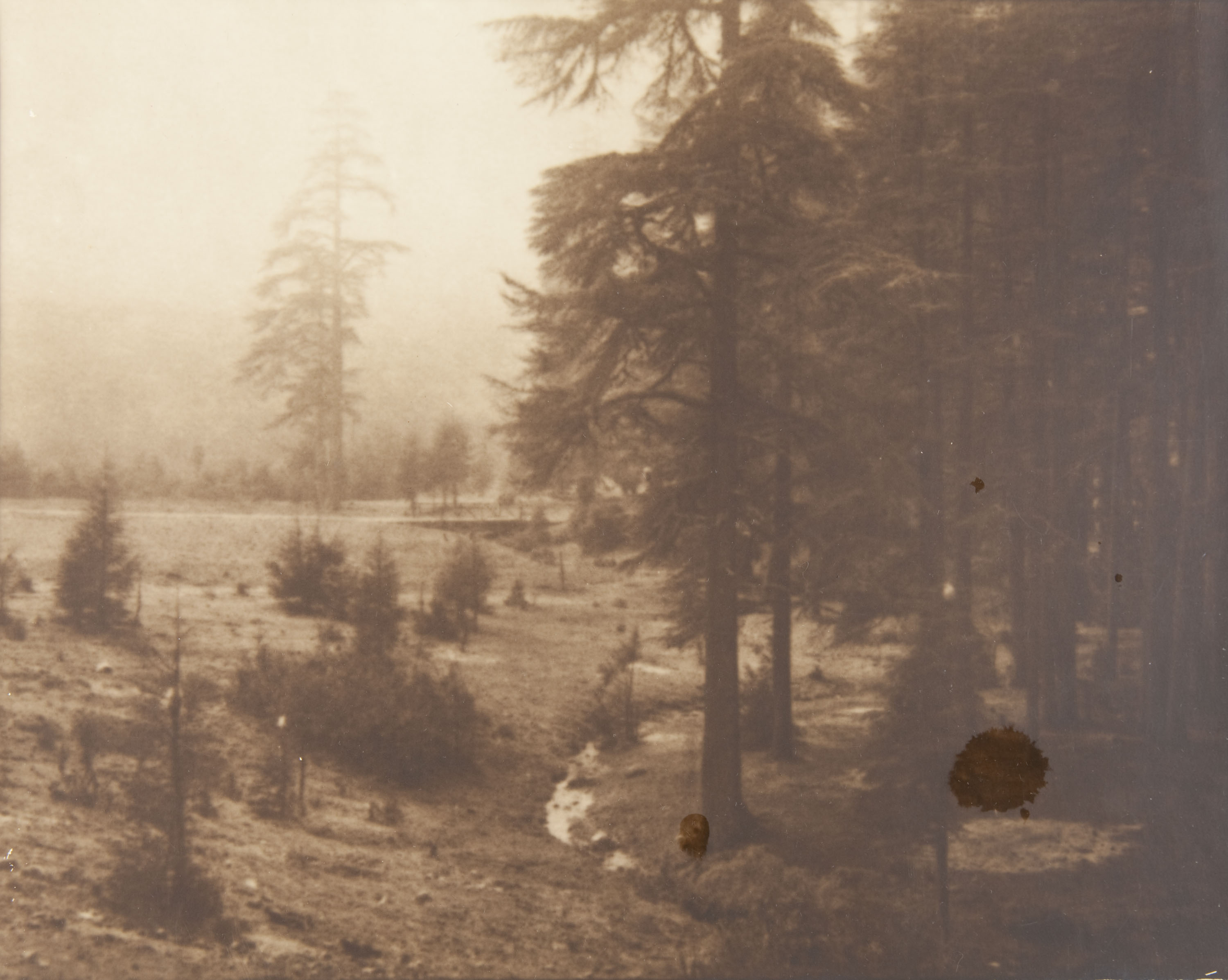 image for: Claudi Carbonell - Sense títol - No datat