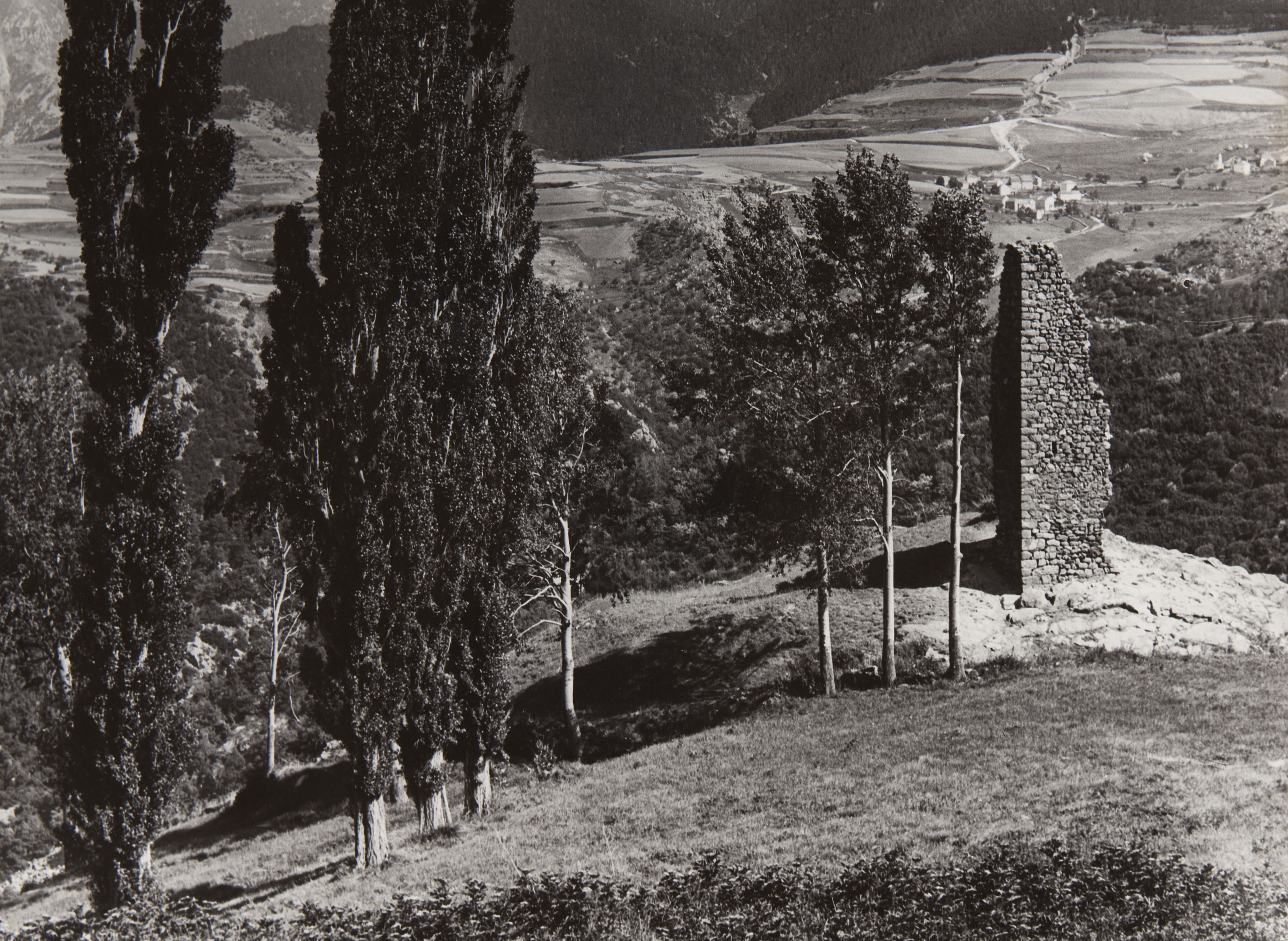 image for: Claudi Carbonell - Sense títol - No datat