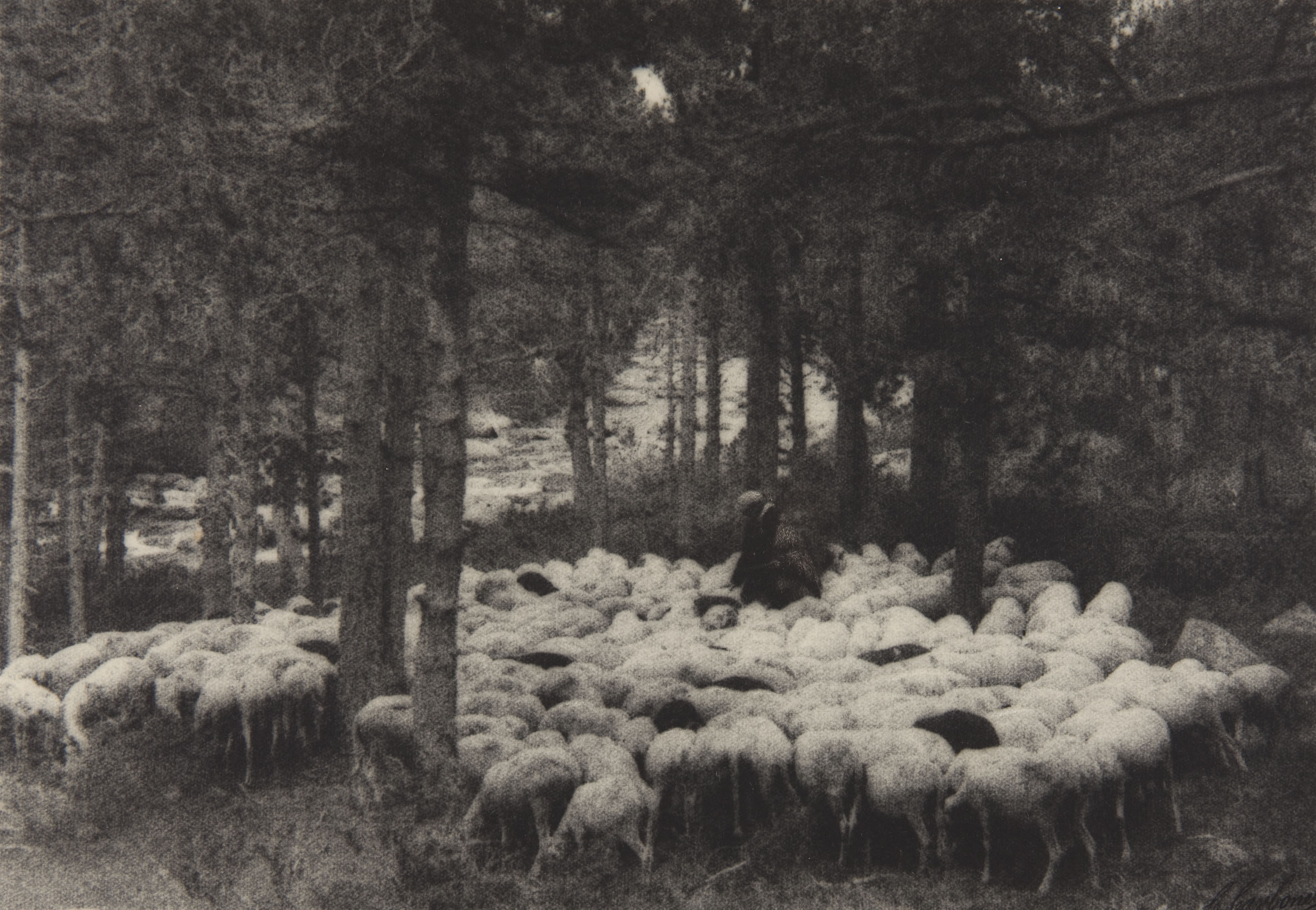 image for: Claudi Carbonell - Sense títol - 1926