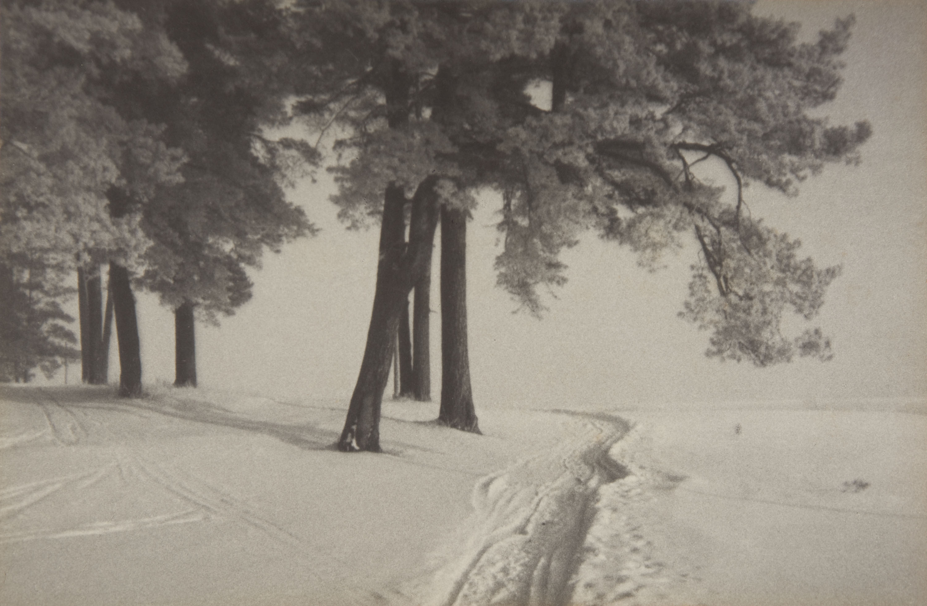 image for: Claudi Carbonell - Sense títol - No datat