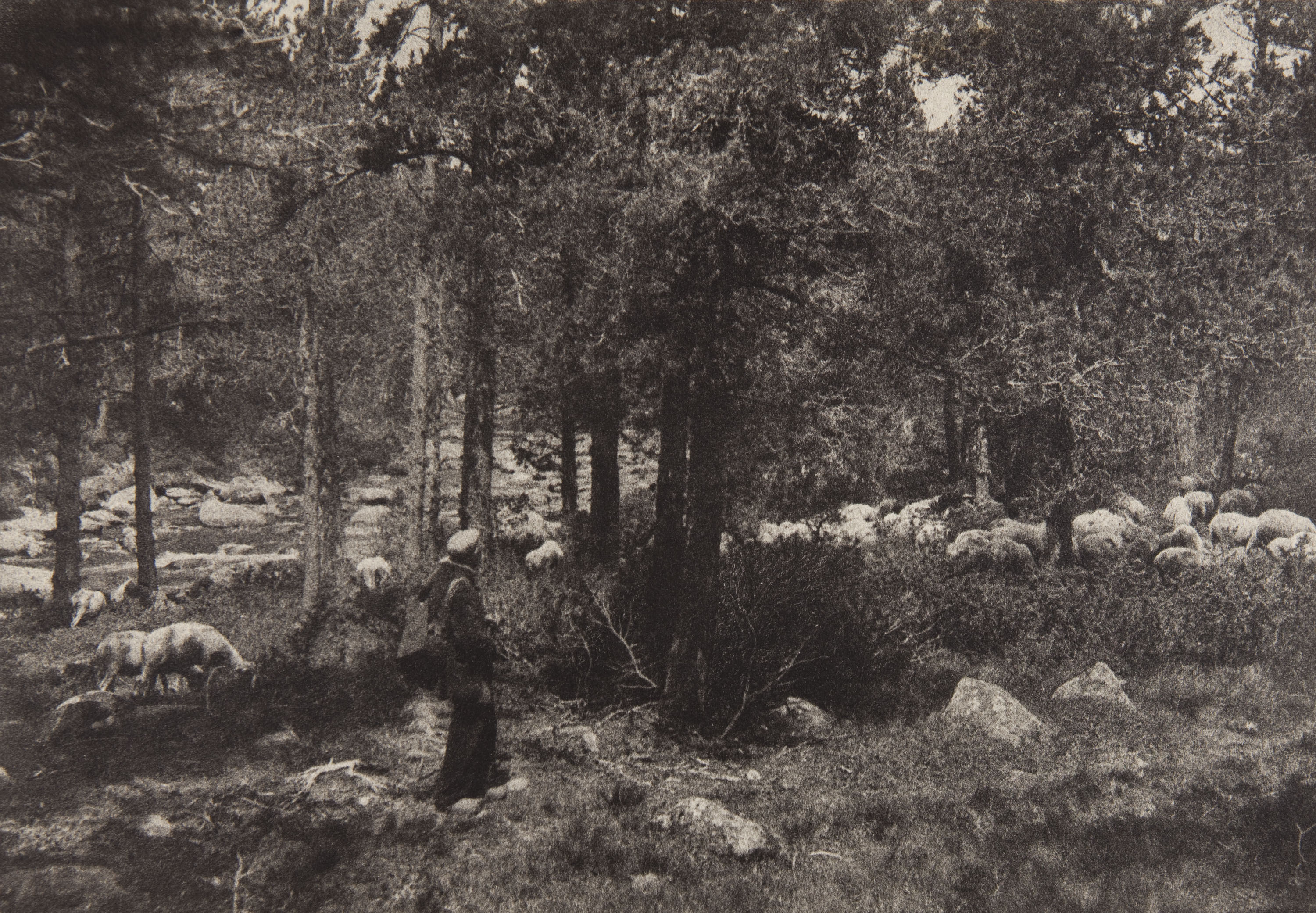 image for: Claudi Carbonell - Sense títol - No datat