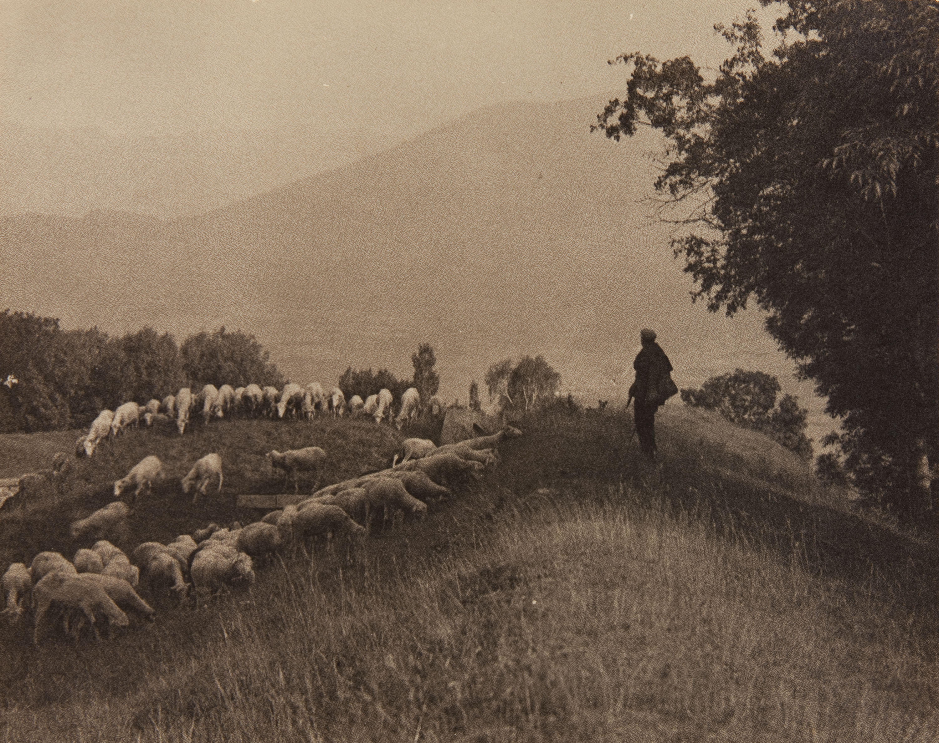 image for: Claudi Carbonell - Sense títol - No datat