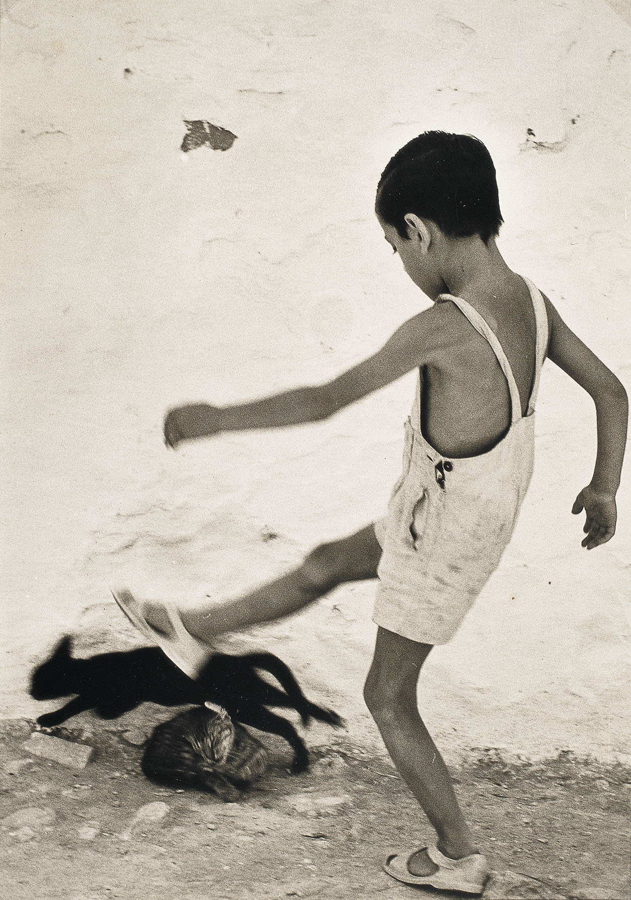 image for: Oriol Maspons - Ibiza's boy (Nen d'Eivissa) - 1954
