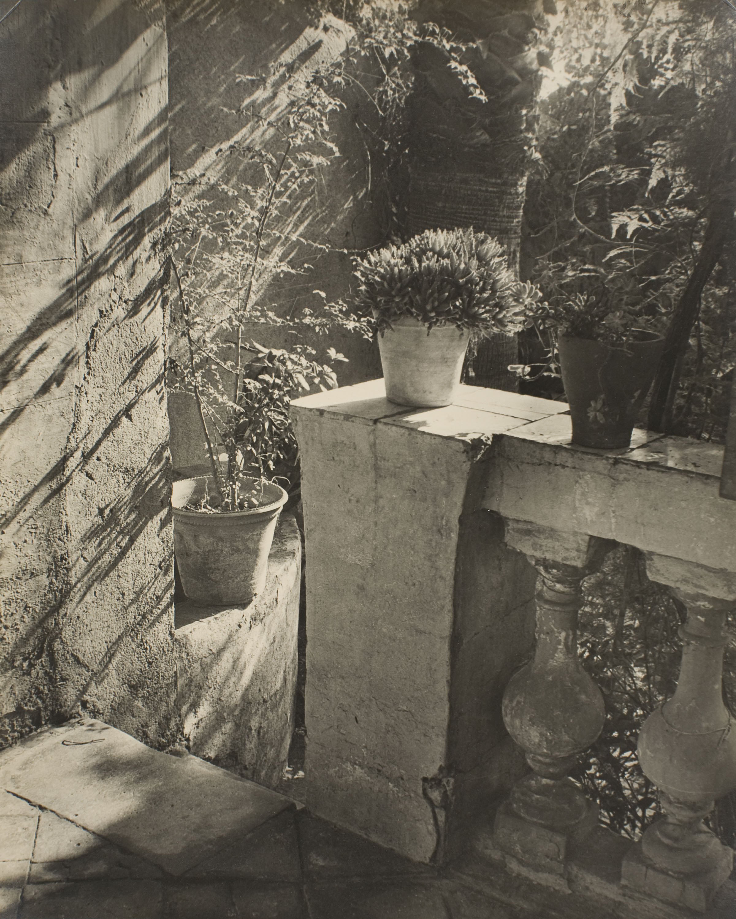 image for: Otho Lloyd - Sense títol [Casa d'Otho Lloyd al Putxet (Barcelona)] - Cap a 1945