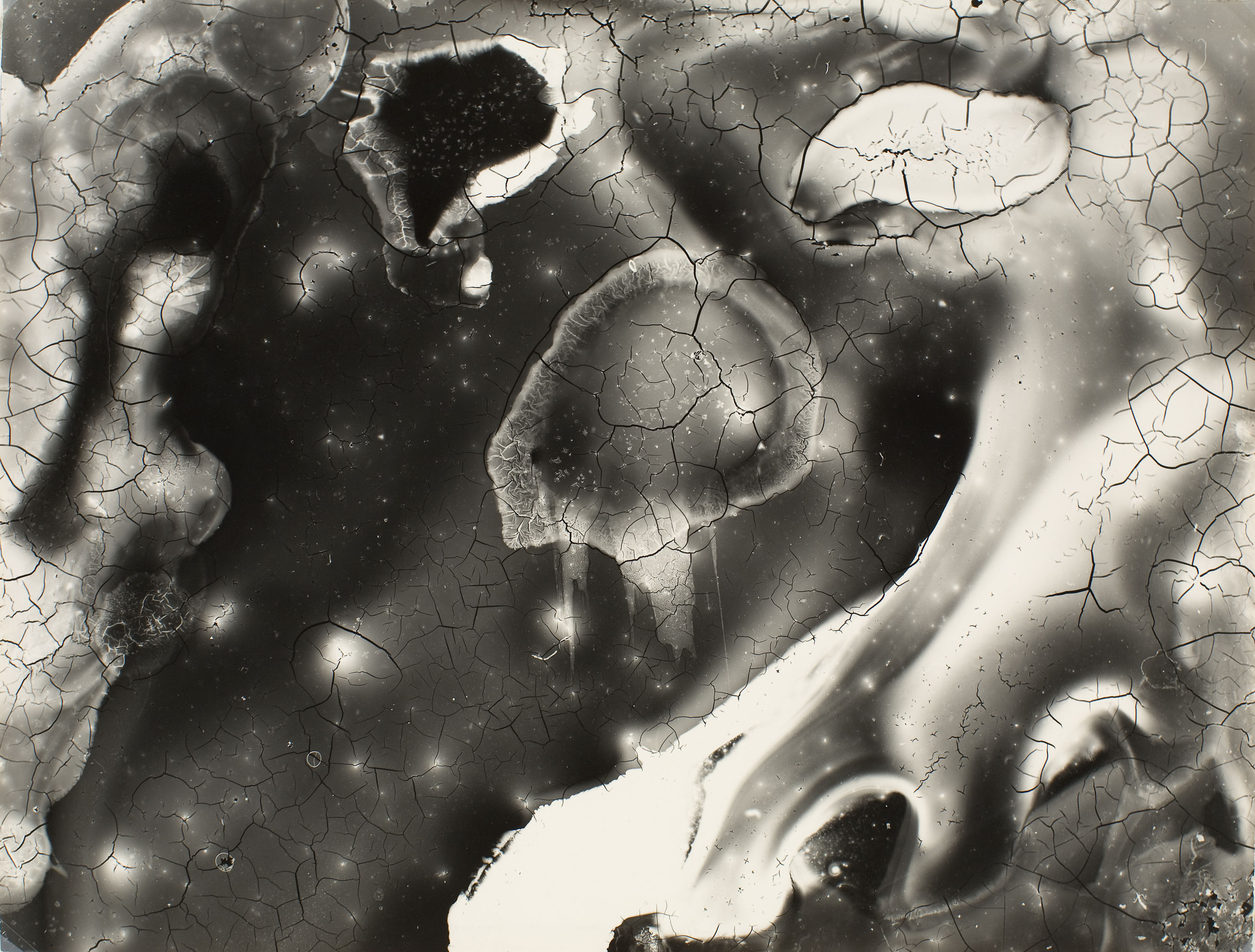 image for: Ton Sirera - Conreu - 1959