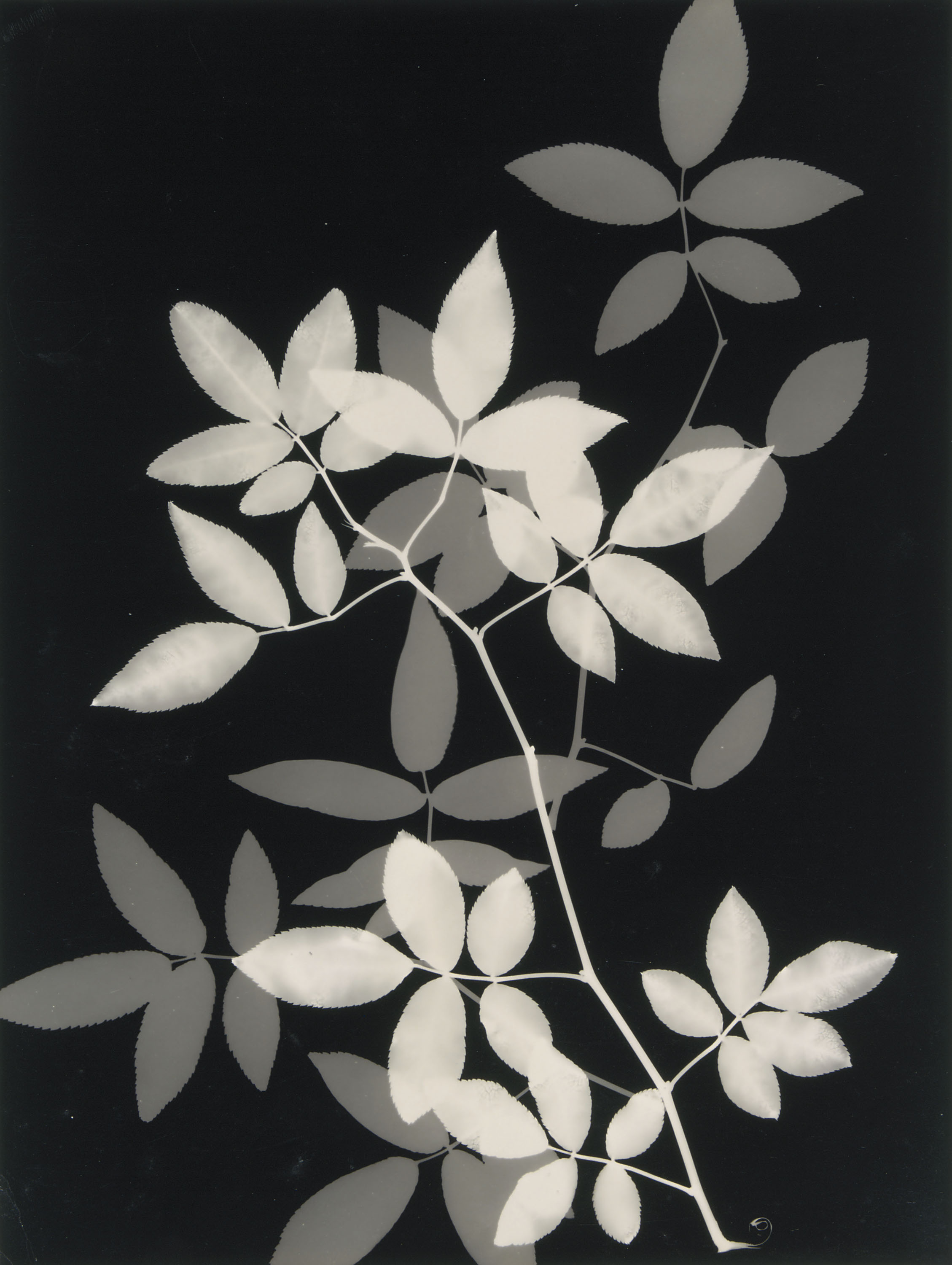 image for: Emili Godes - Sense títol - Cap a  1930