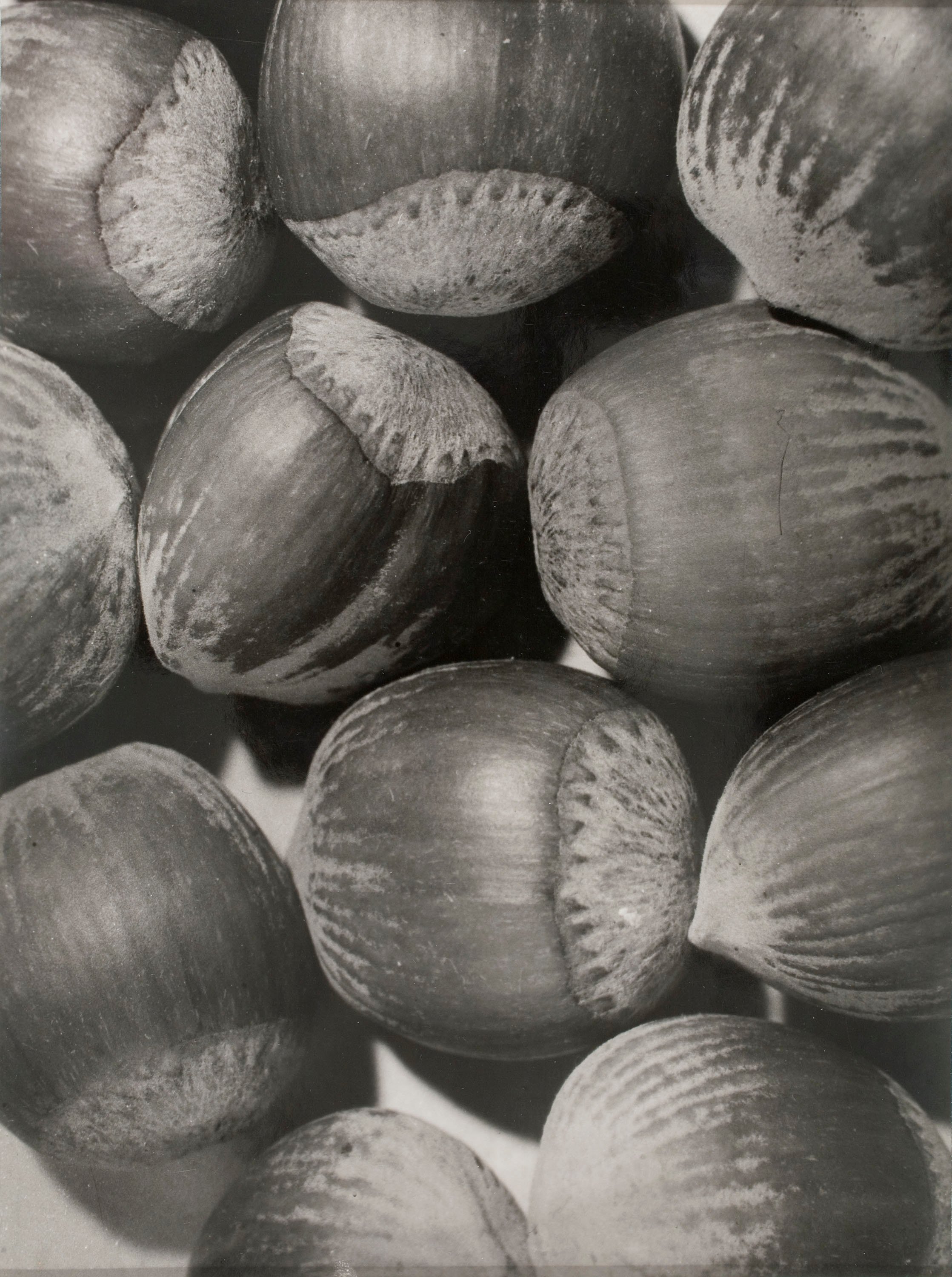 image for: Emili Godes - Avellanes - Cap a 1930