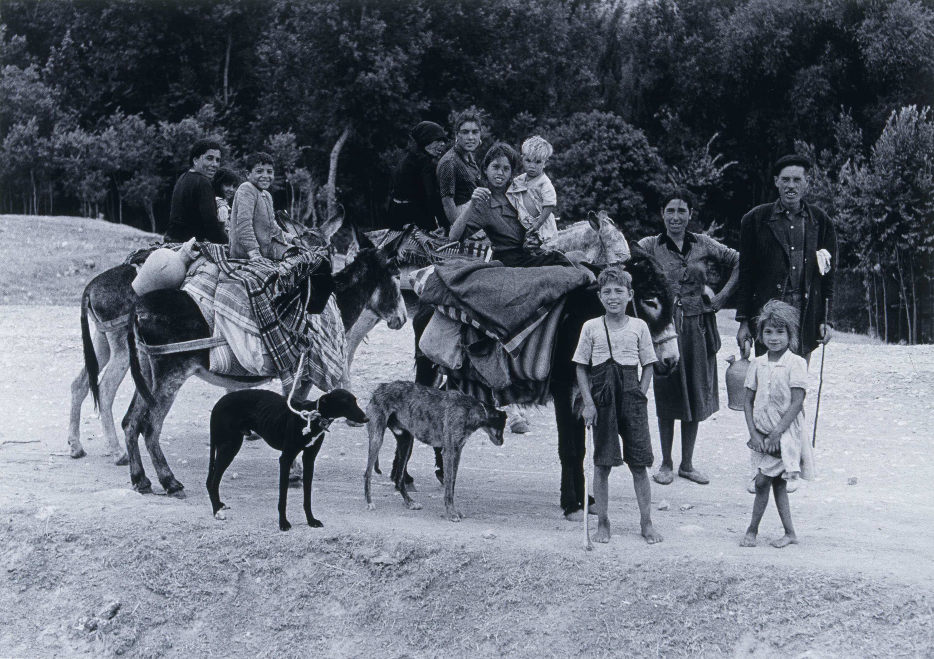 image for: Oriol Maspons - La Mancha - 1961 (tiratge 1995)