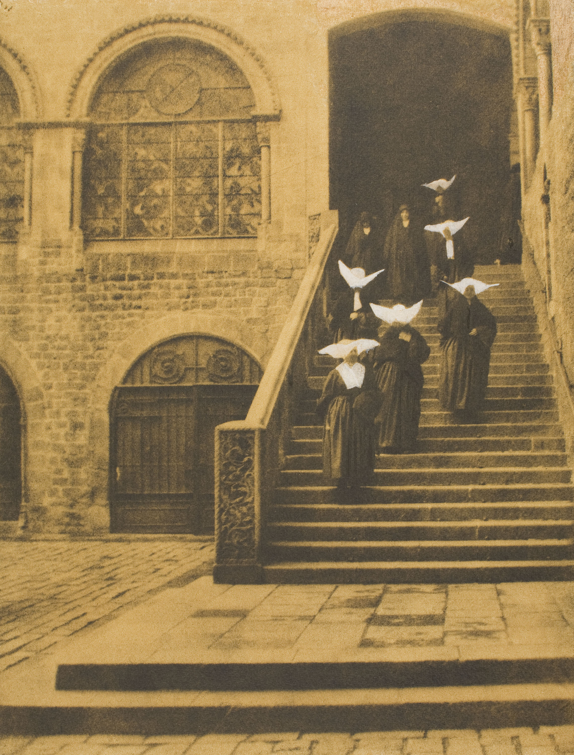 image for: Joaquim Pla Janini - Mariposas de la caridad - No datat