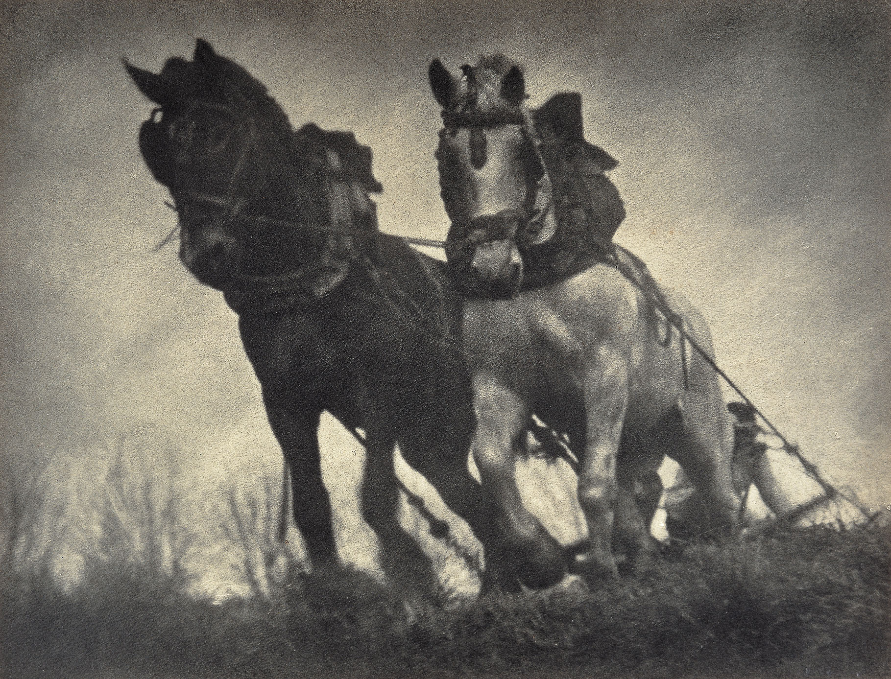 image for: Antoni Campañà - Tracció de sang - 1933