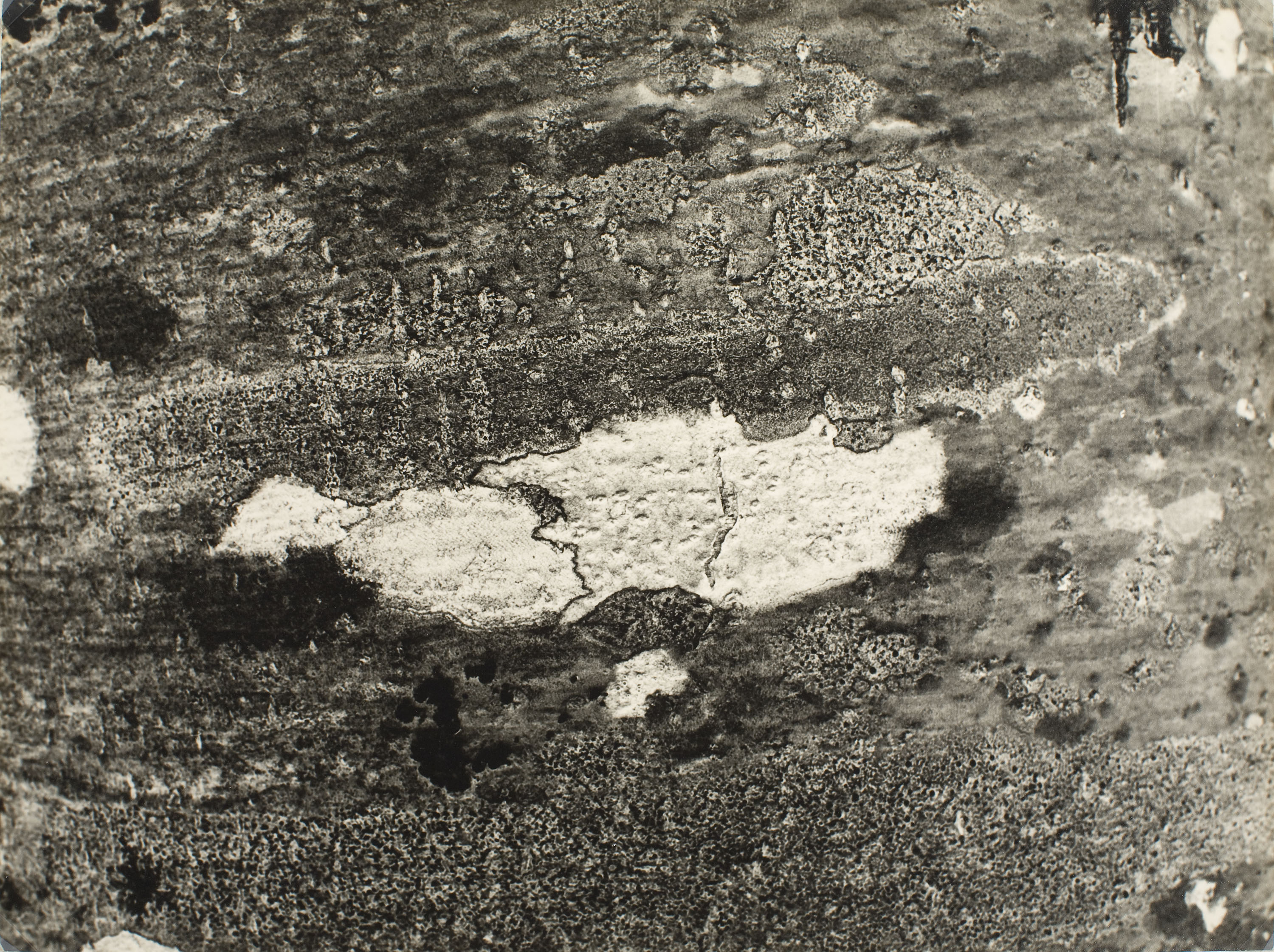 image for: Ton Sirera - Escorça d'abres - 1959