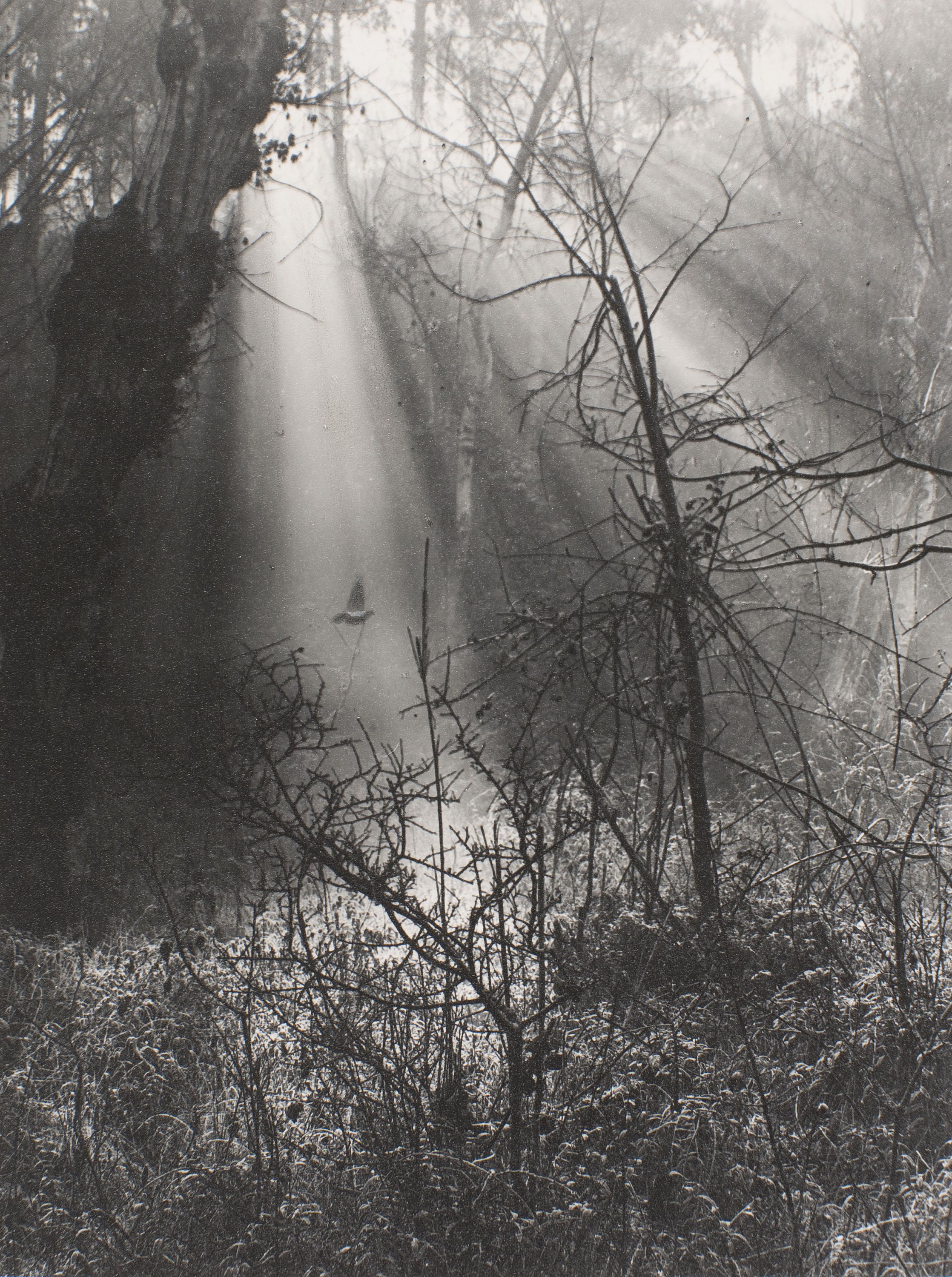 image for: Antoni Arissa - Sense títol - Cap a 1922-1928