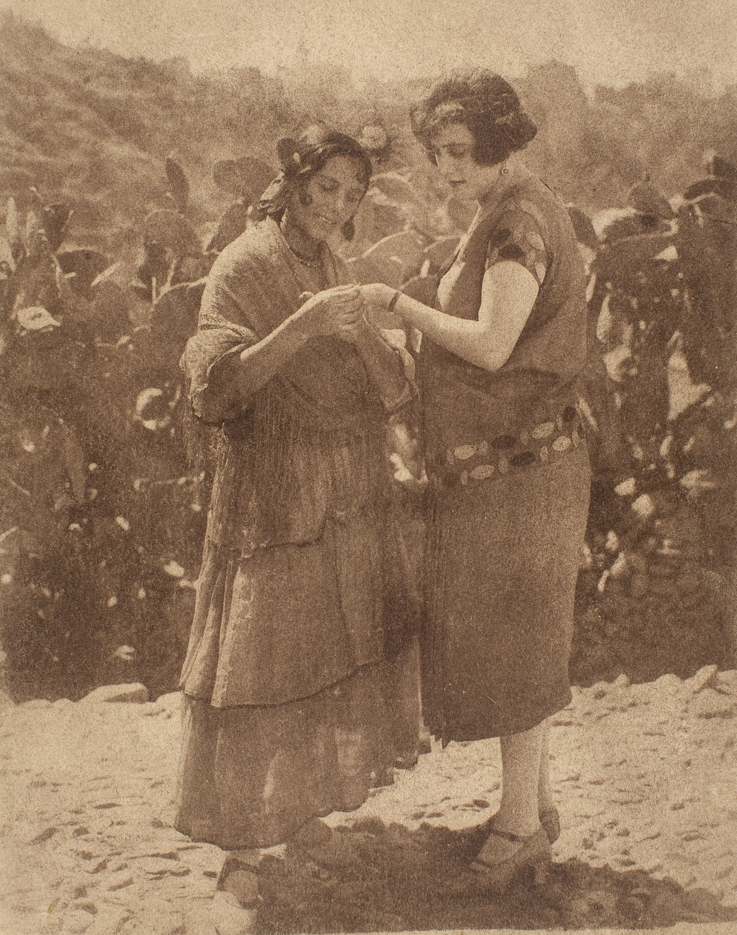 image for: Antoni Arissa - Sense títol - No datat