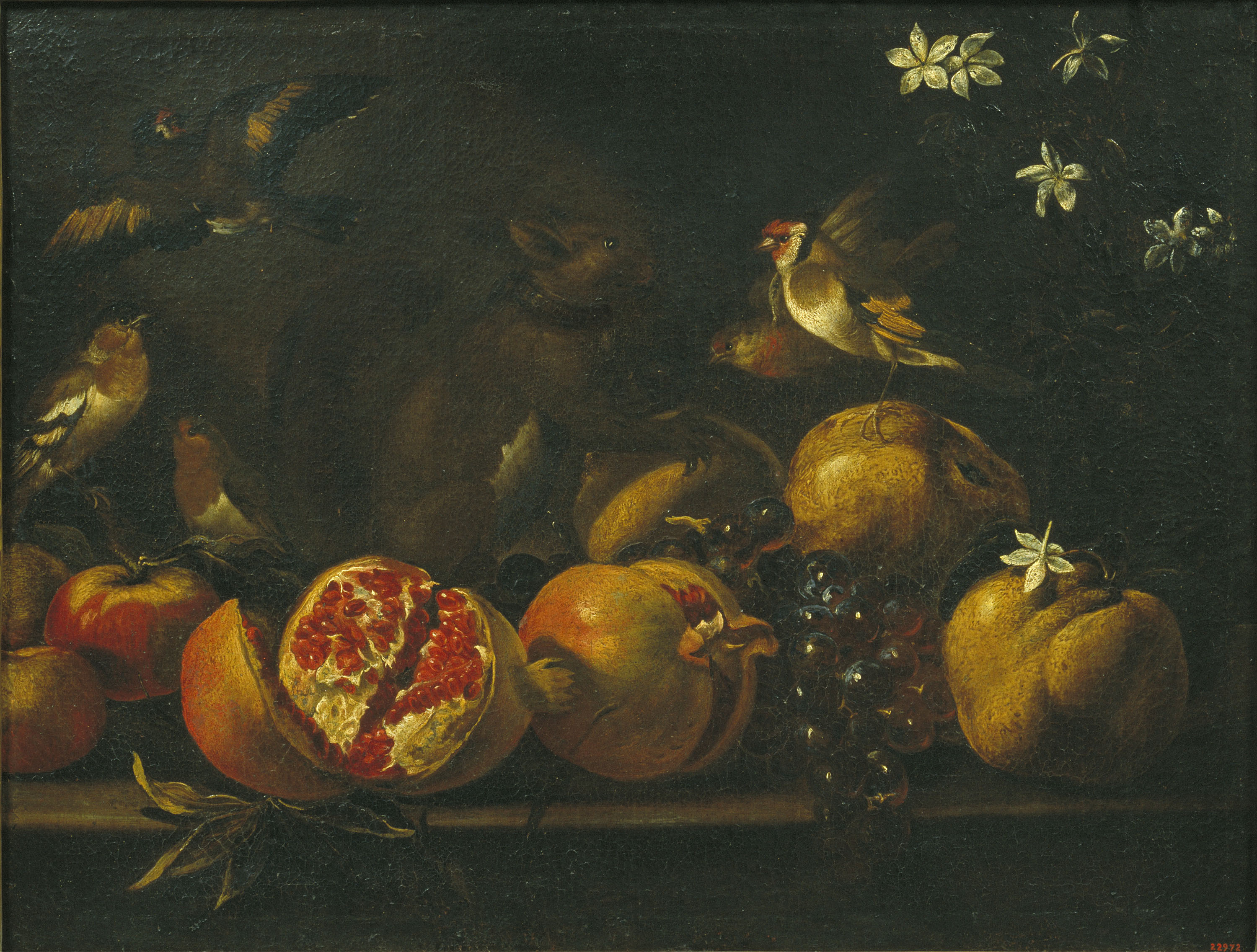image for: Tommaso Realfonzo (Masillo) - Natura morta amb magranes, raïm, ocells i un esquirol - Segle XVIII