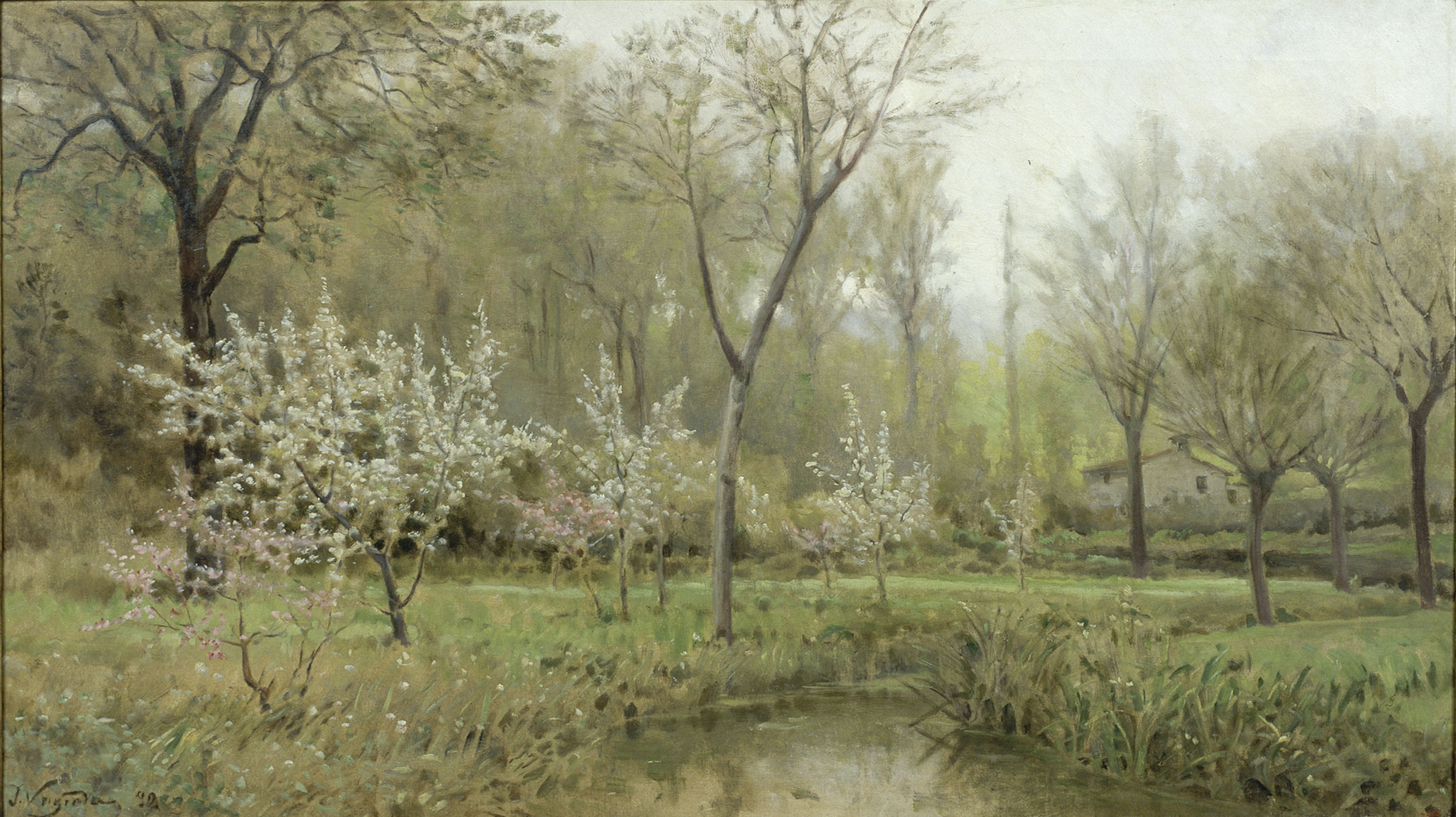 image for: Joaquim Vayreda - Arbres en flor - 1892