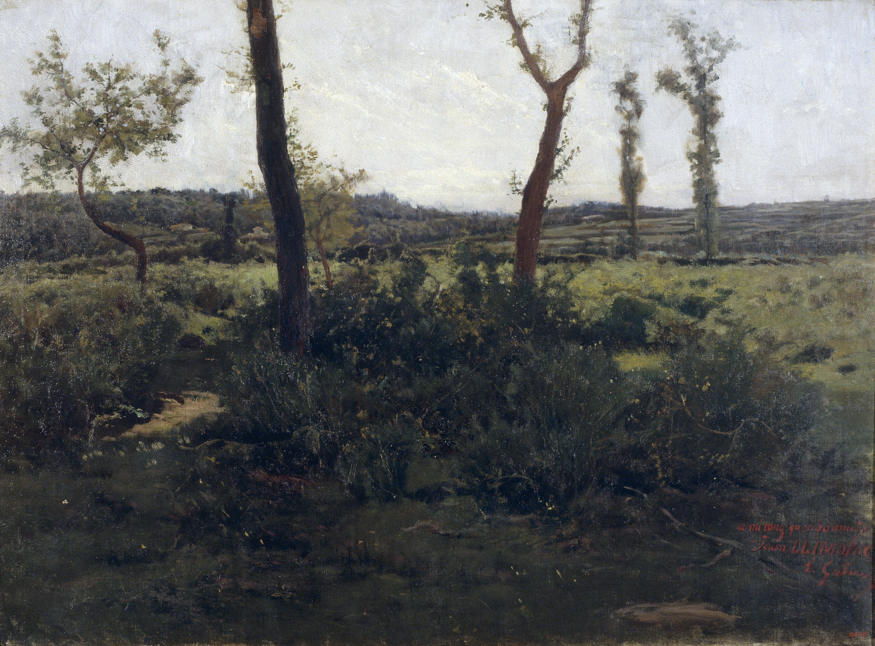 image for: Enric Galwey - Paisatge - [no-dating]