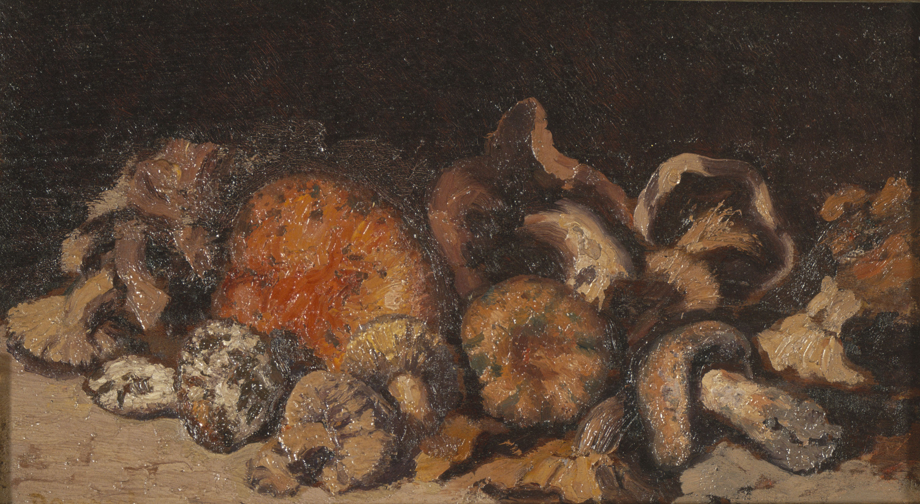 image for: Nicolau Raurich - Bolets - Cap a 1922