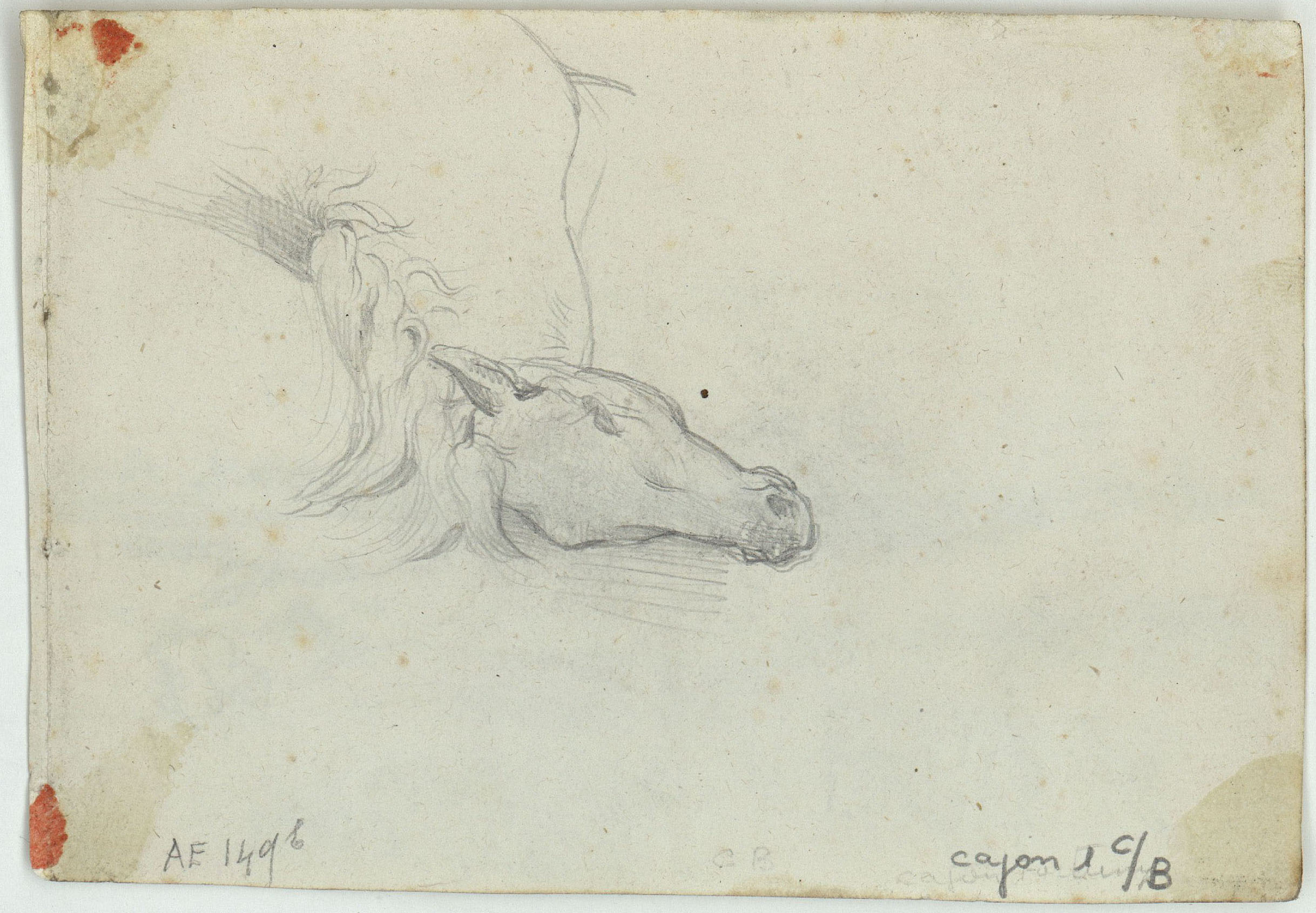 image for: Marià Fortuny - Voluntarios catalanes. Estudi per al quadre «La batalla de Wad-Ras» (anvers) / Cap de cavall (revers) - 1860 [1]