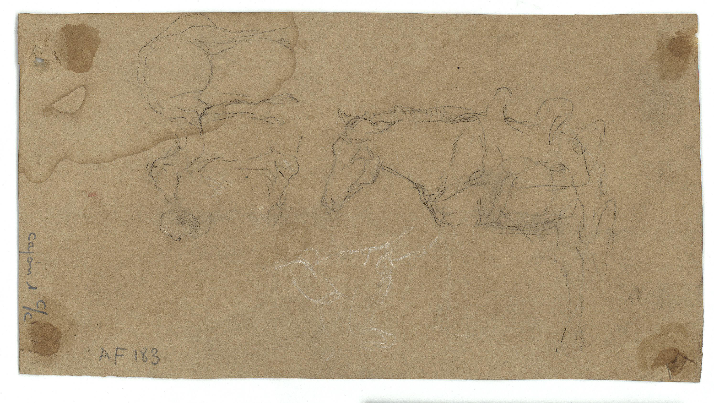 image for: Marià Fortuny - Cavalls (anvers) / Cavall i camell (revers) - Cap a 1860-1862 [1]