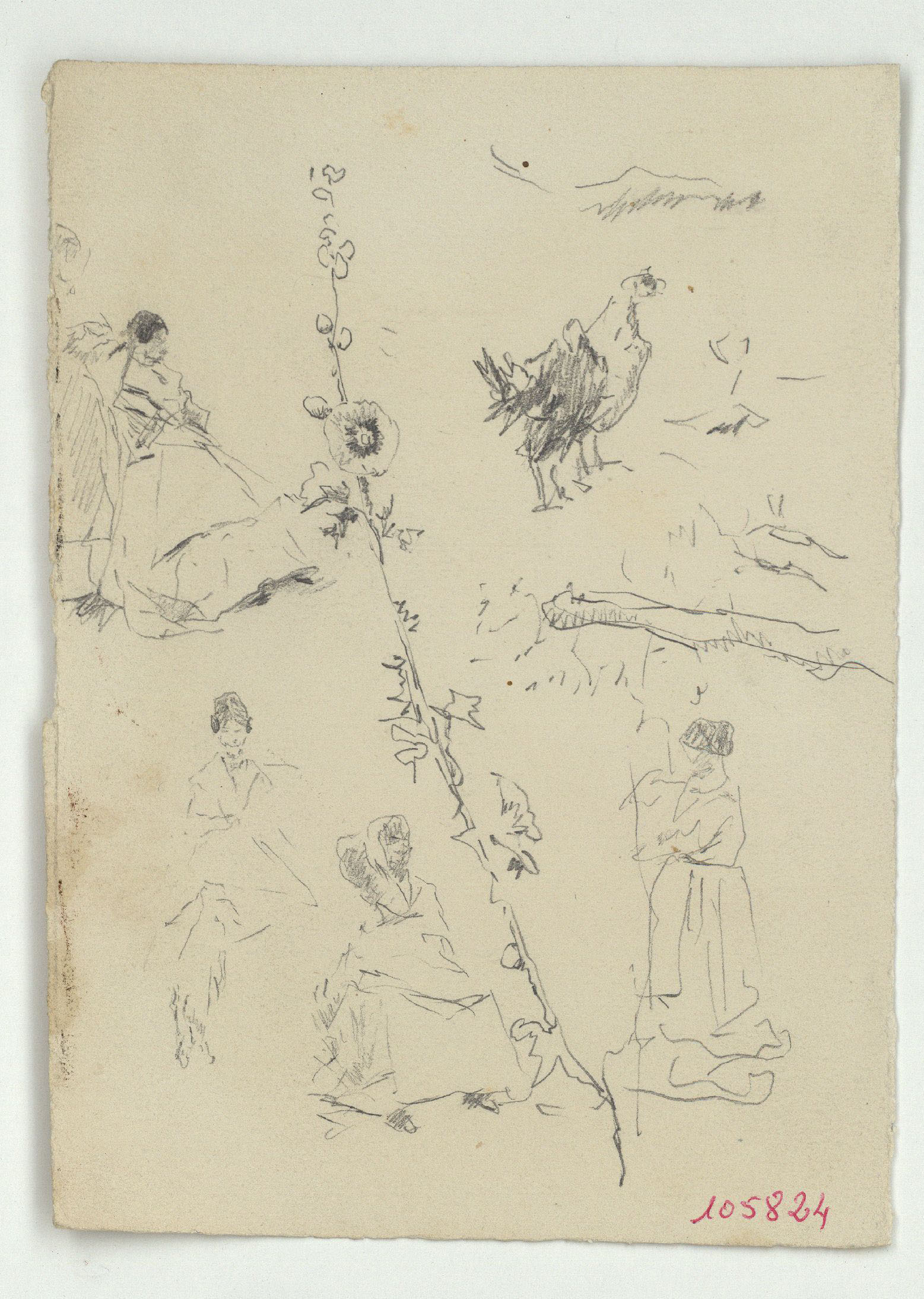 image for: Marià Fortuny - Figures femenines, flors i animals - Cap a 1874