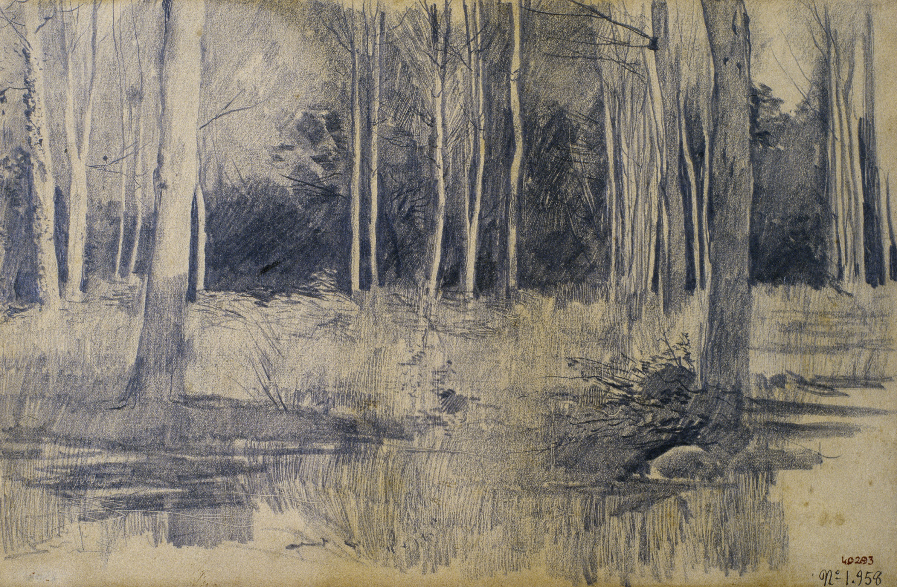 image for: Santiago Rusiñol - Arbreda - Cap a 1880-1885