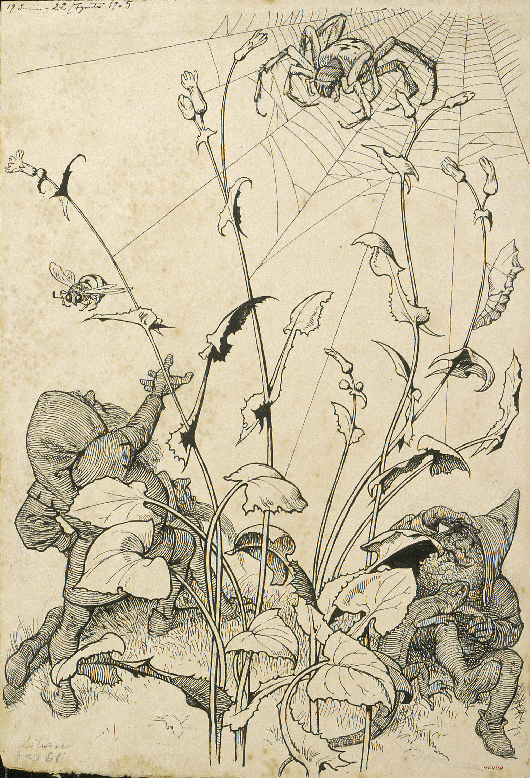 image for: Apel·les Mestres - L'aranya. Il·lustració per al poema «Liliana» d'Apel·les Mestres - 1905