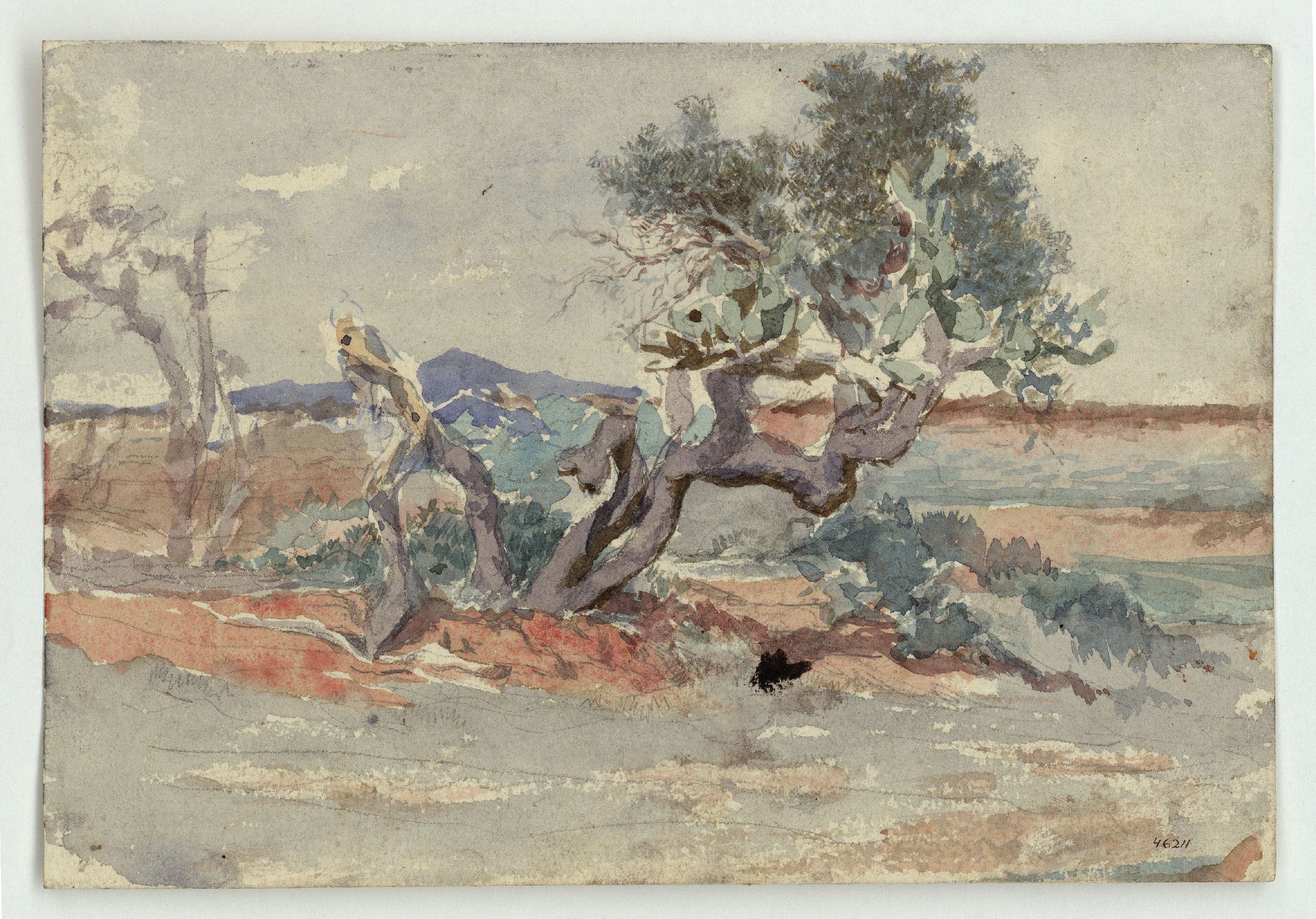 image for: Marià Fortuny - Paisatge - Cap a 1860-1862
