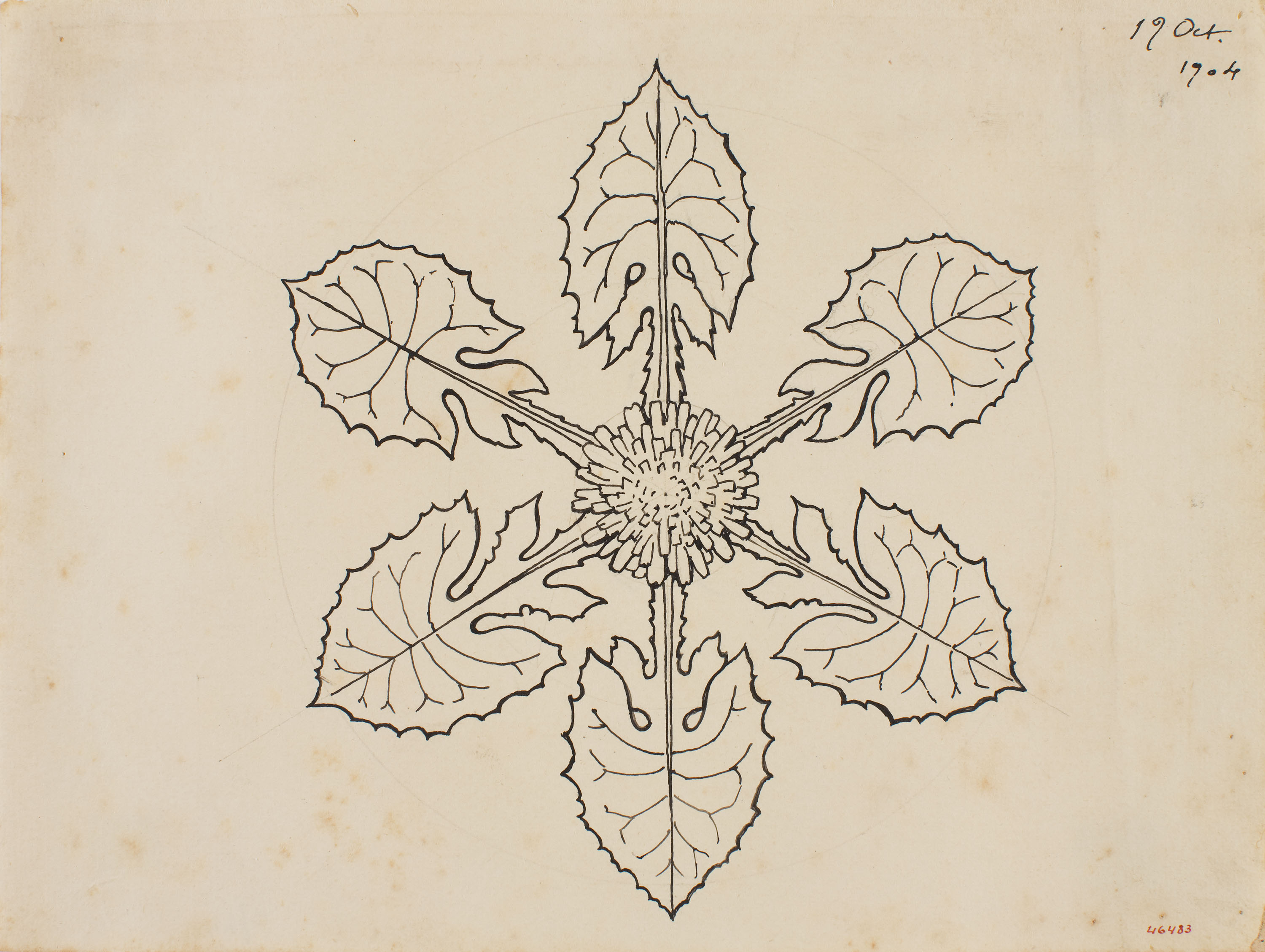 image for: Apel·les Mestres - Composició radial d'una flor. Culdellàntia per al poema «Liliana» d'Apel·les Mestres - 1904