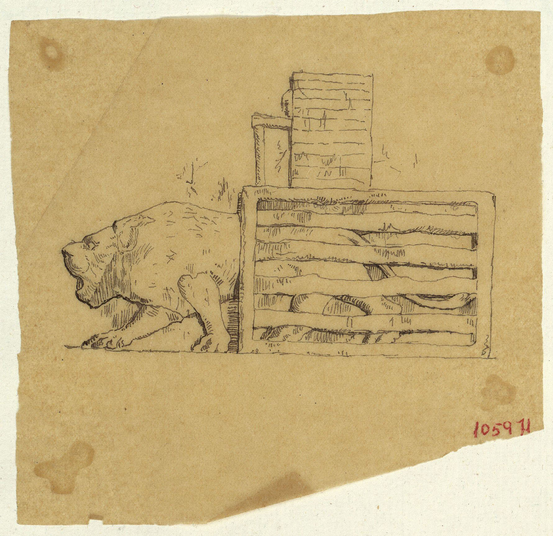 image for: Marià Fortuny - Calc d'una lleona (motiu assiri) - Cap a 1867-1872