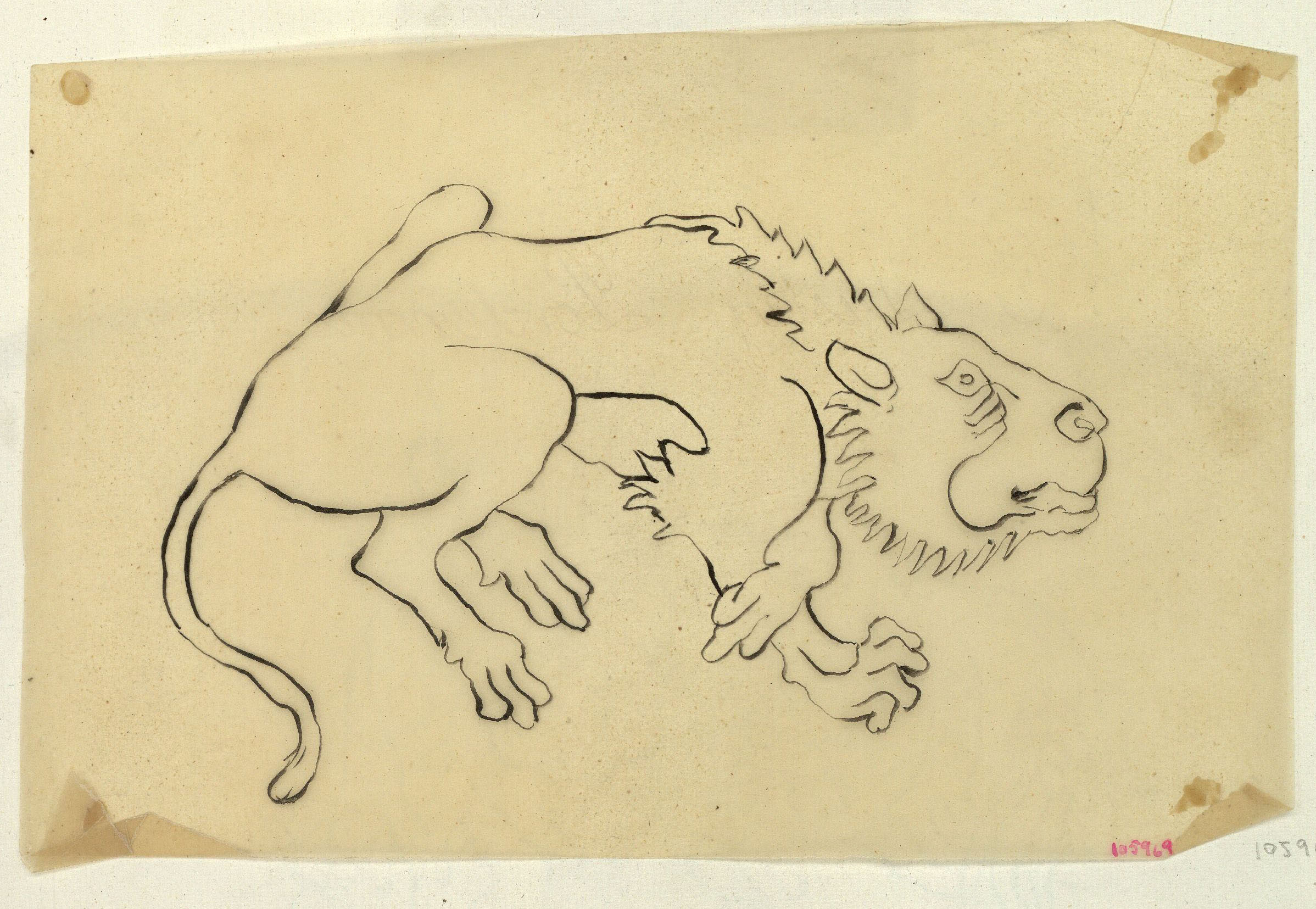 image for: Marià Fortuny - Calc d'un lleó - Cap a 1867-1872