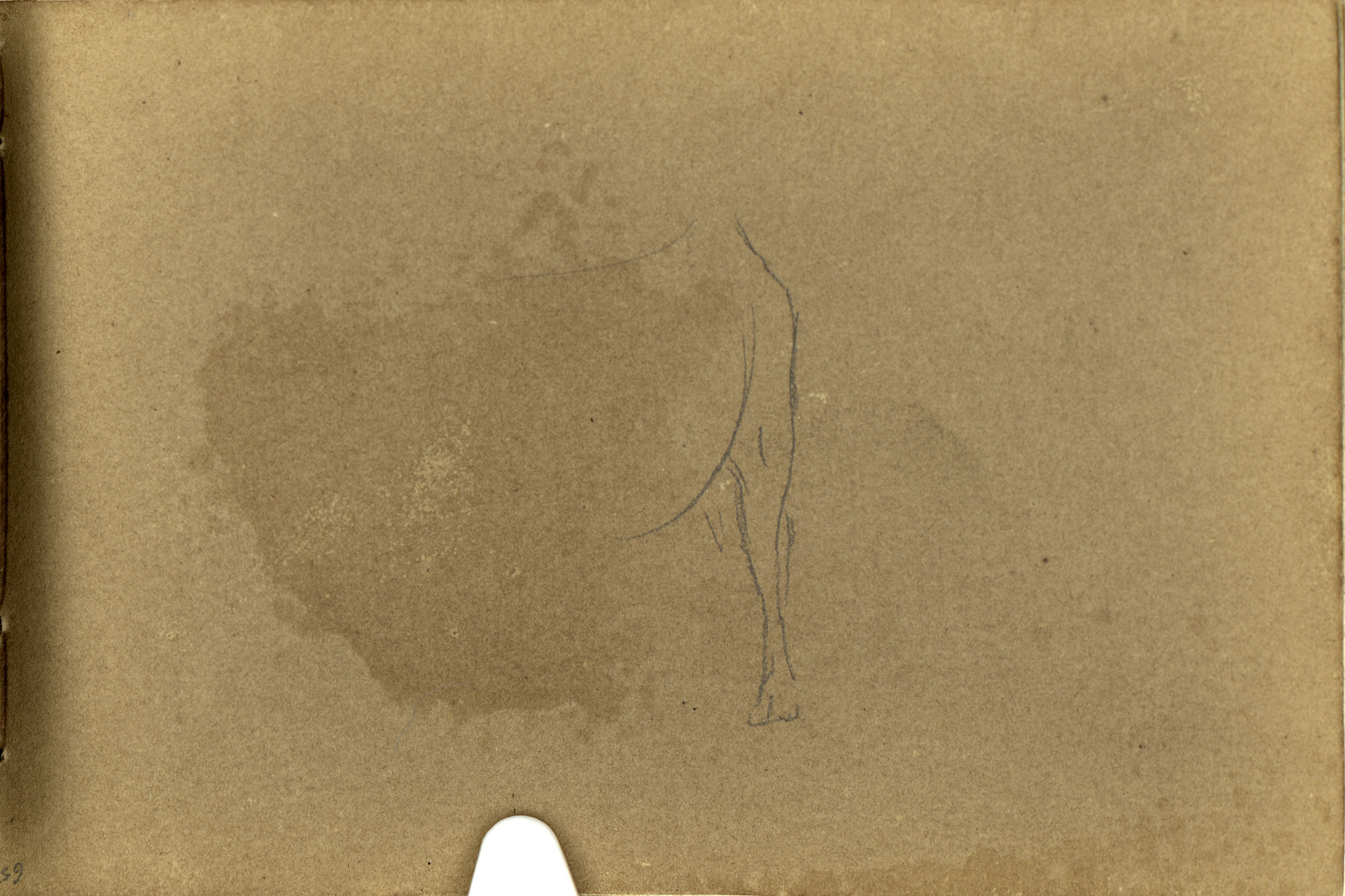 image for: Marià Fortuny - Mula (anvers) / Pota de mula (revers) - Cap a 1866-1872 [1]