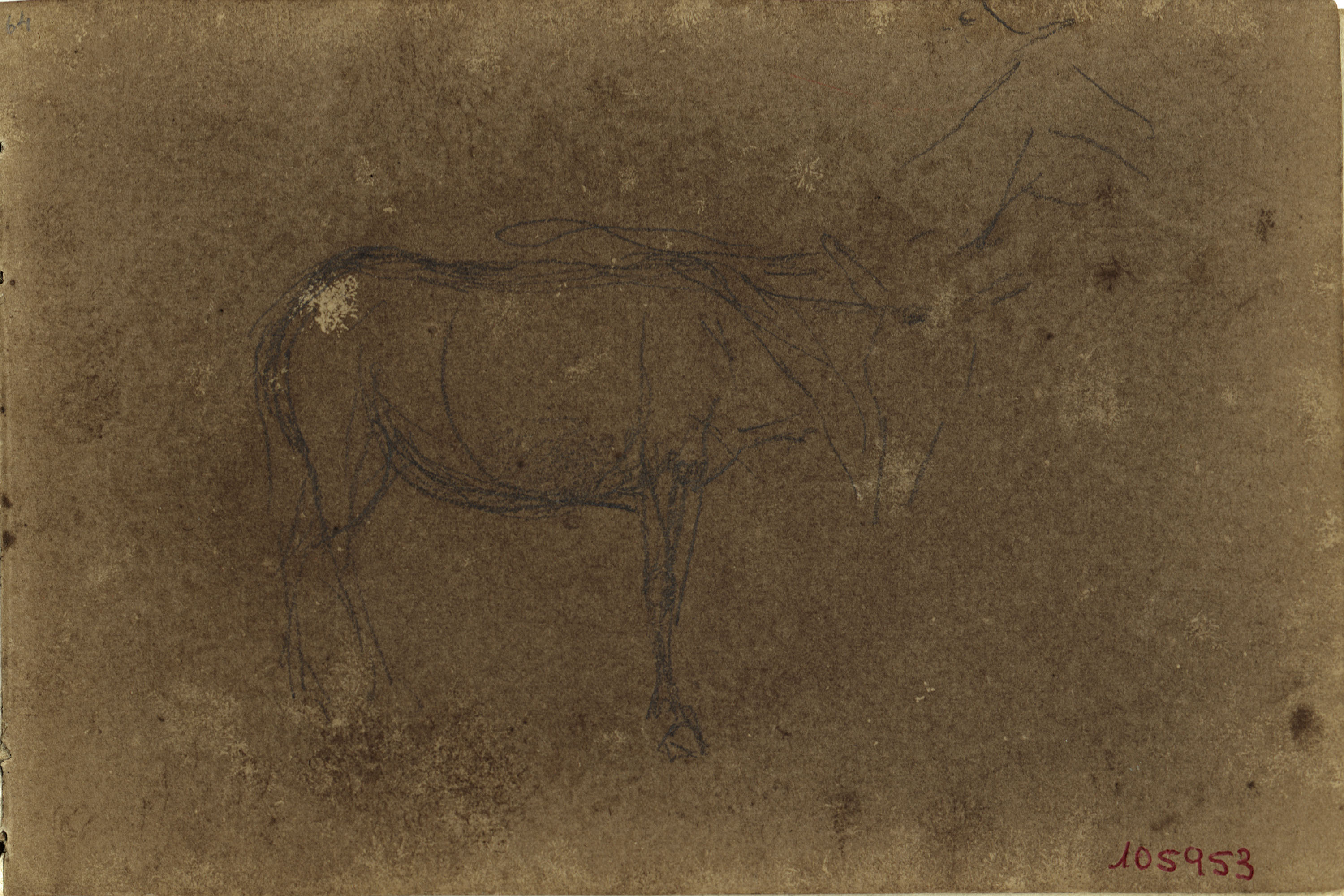 image for: Marià Fortuny - Mula (anvers) / Pota de mula (revers) - Cap a 1866-1872